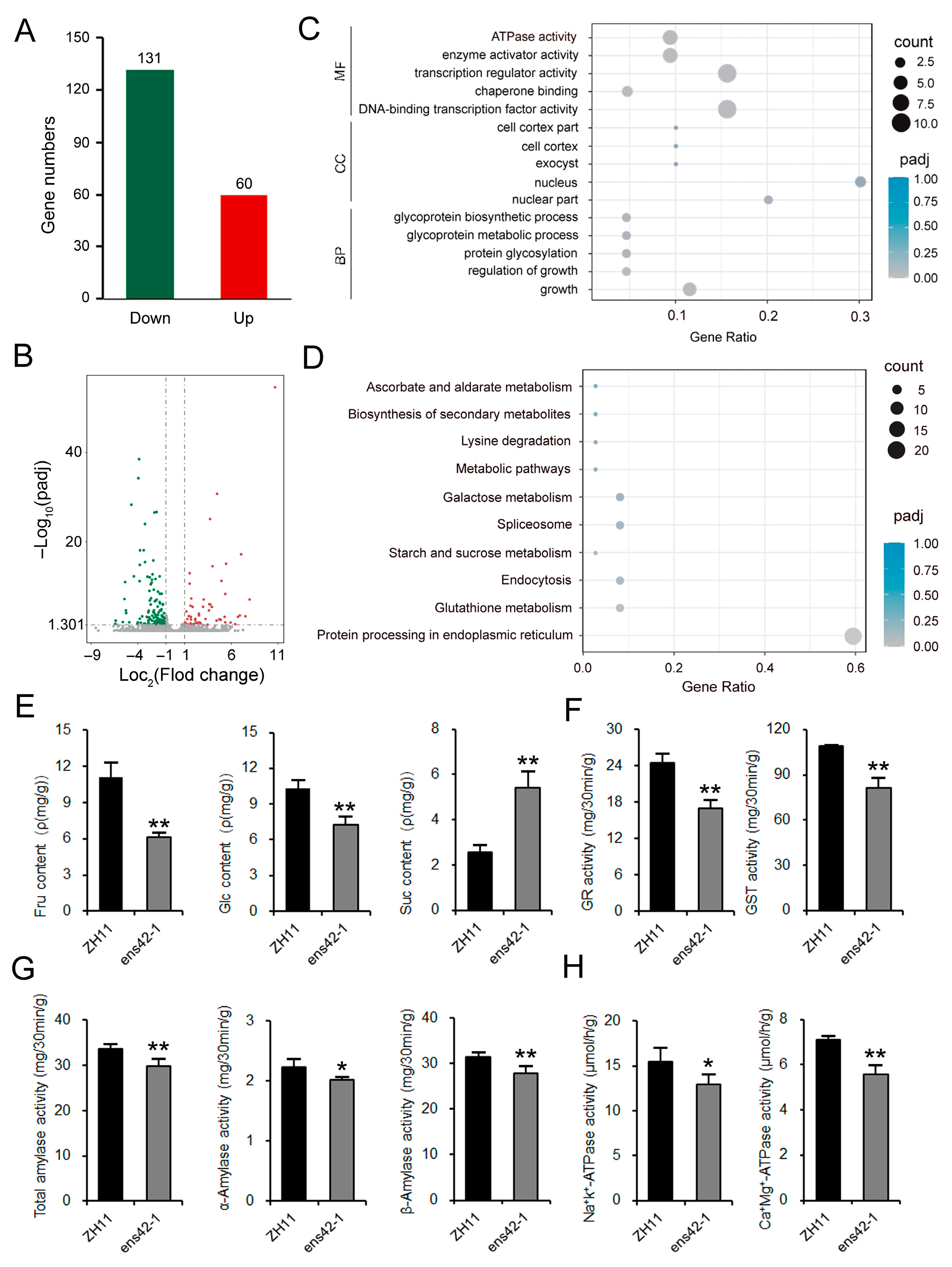 Plants 14 02492 g004