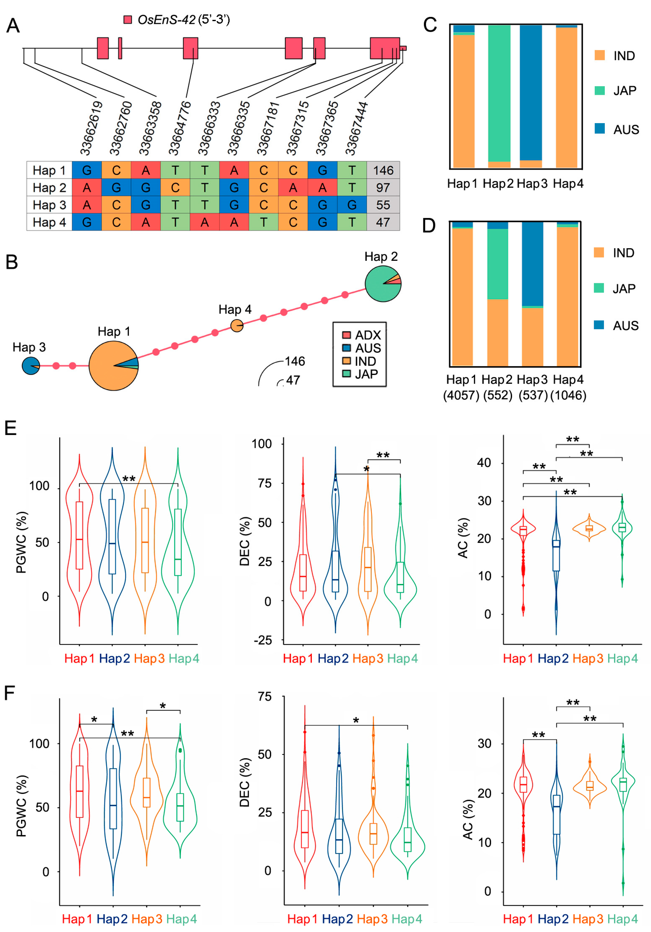 Plants 14 02492 g005