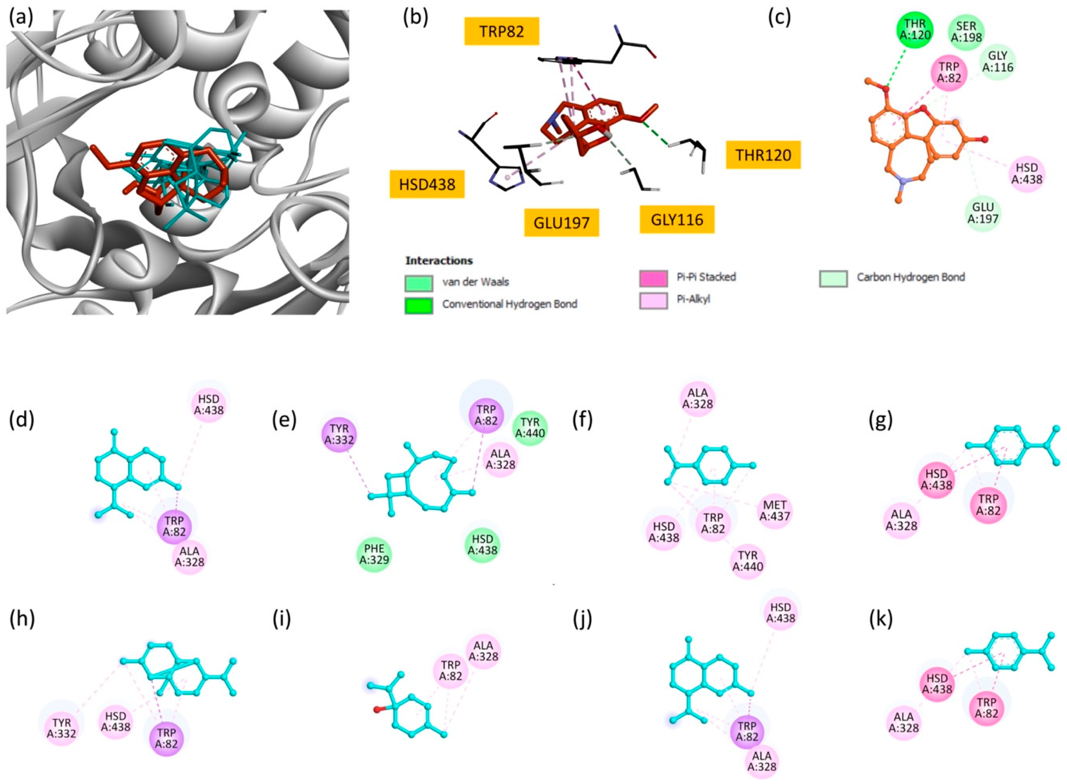 Plants 14 02497 g005