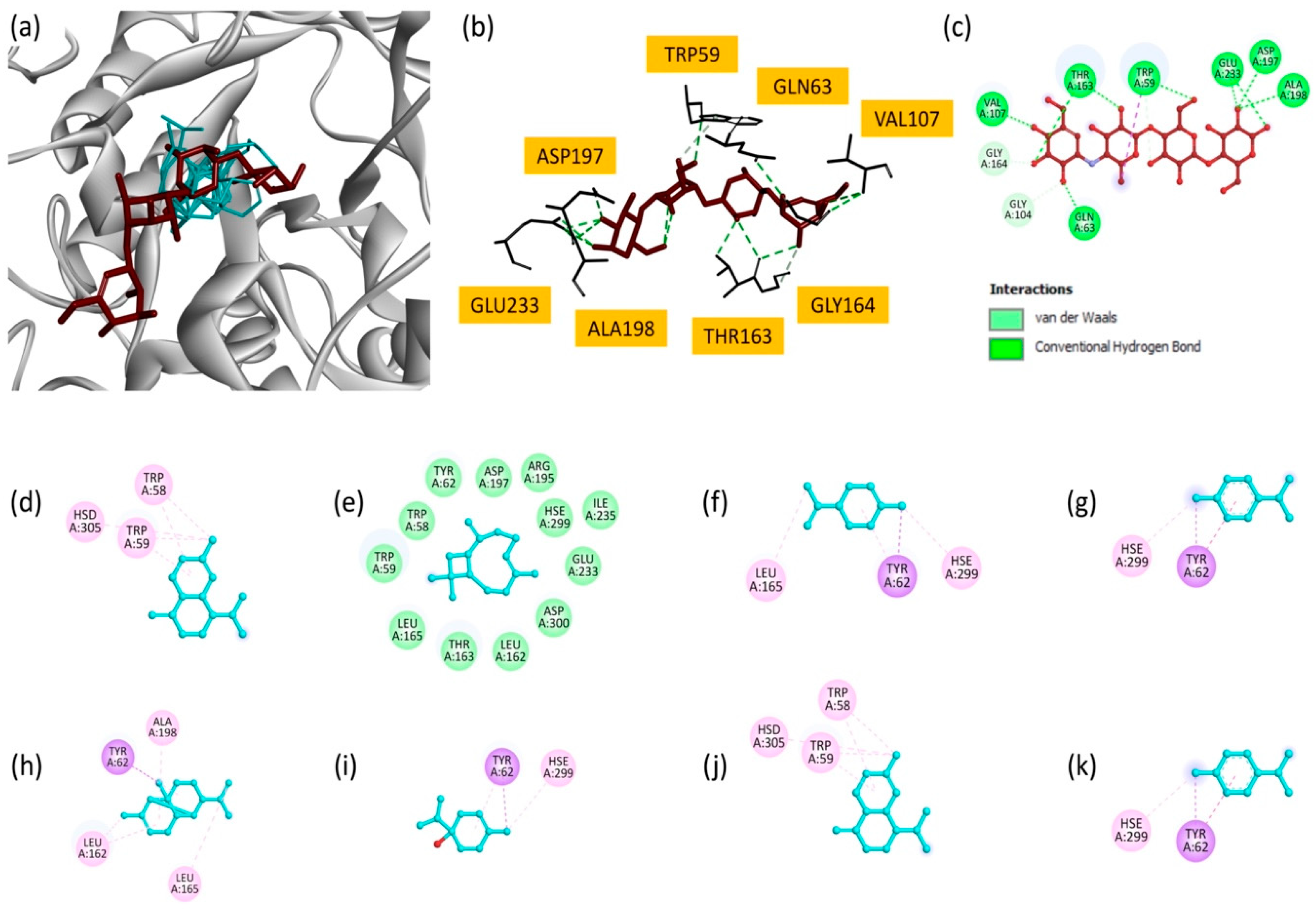 Plants 14 02497 g006
