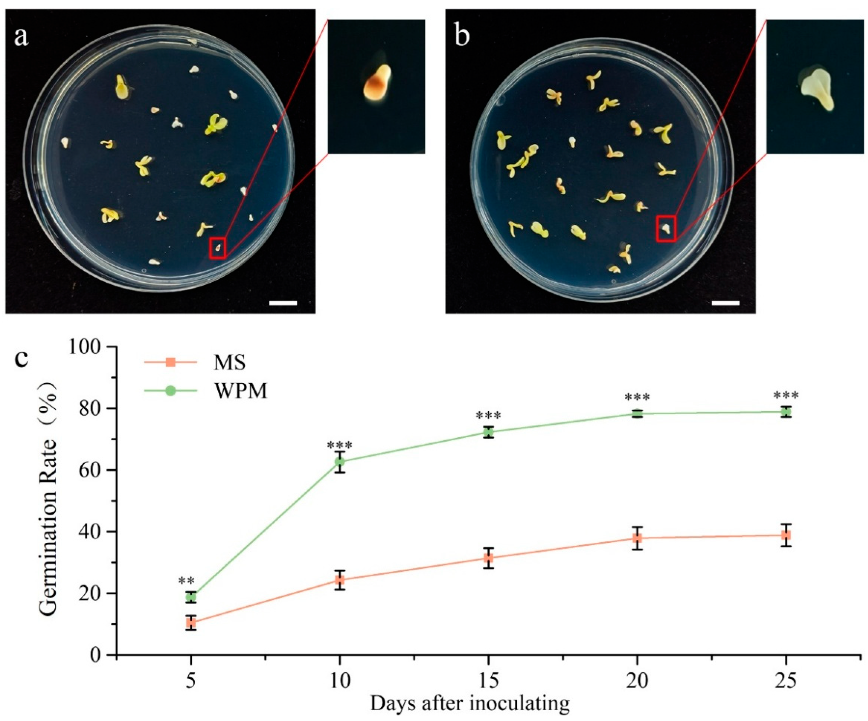 Plants 14 02498 g002
