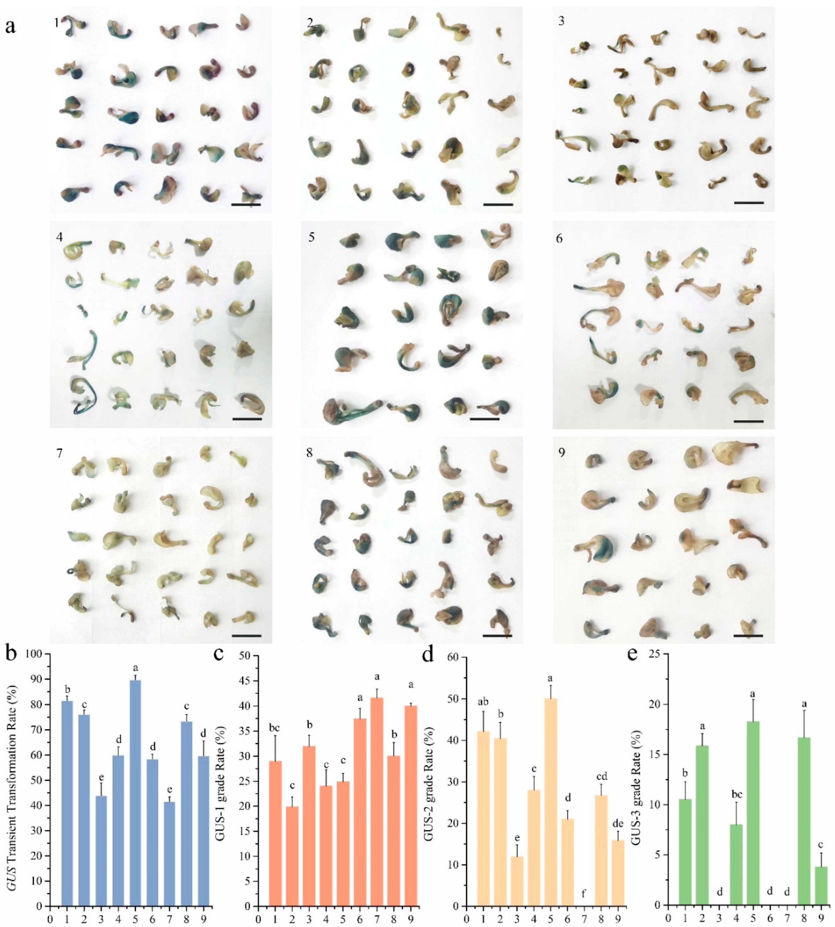 Plants 14 02498 g003