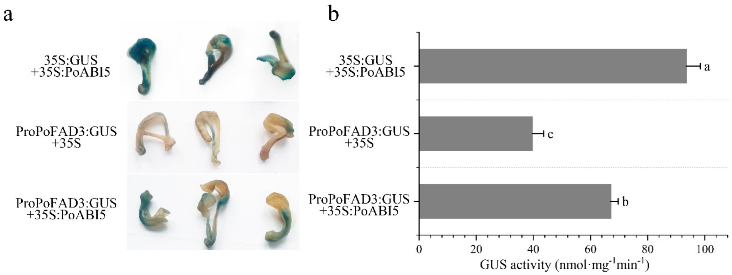 Plants 14 02498 g005