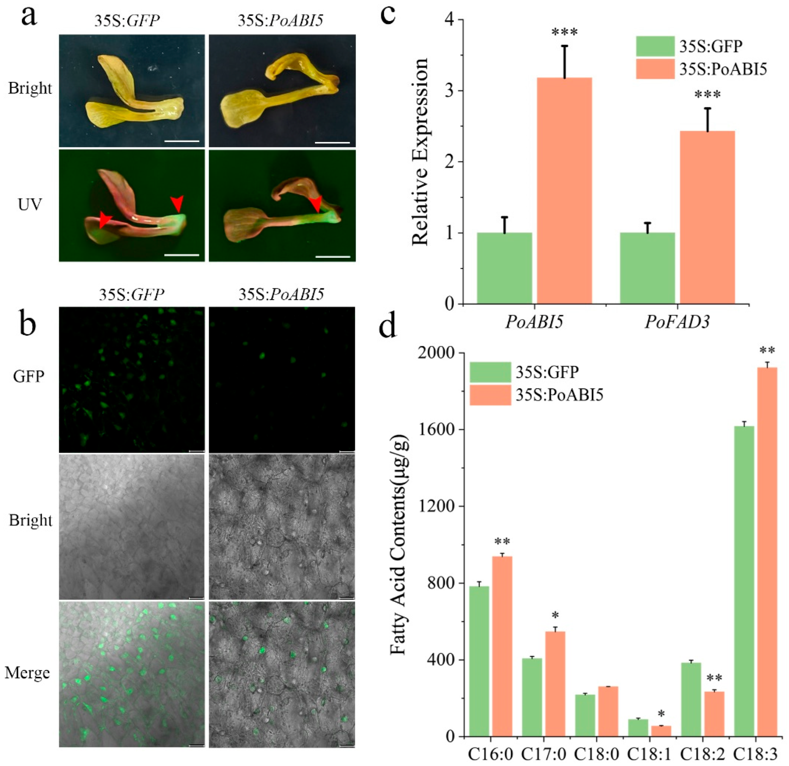 Plants 14 02498 g007