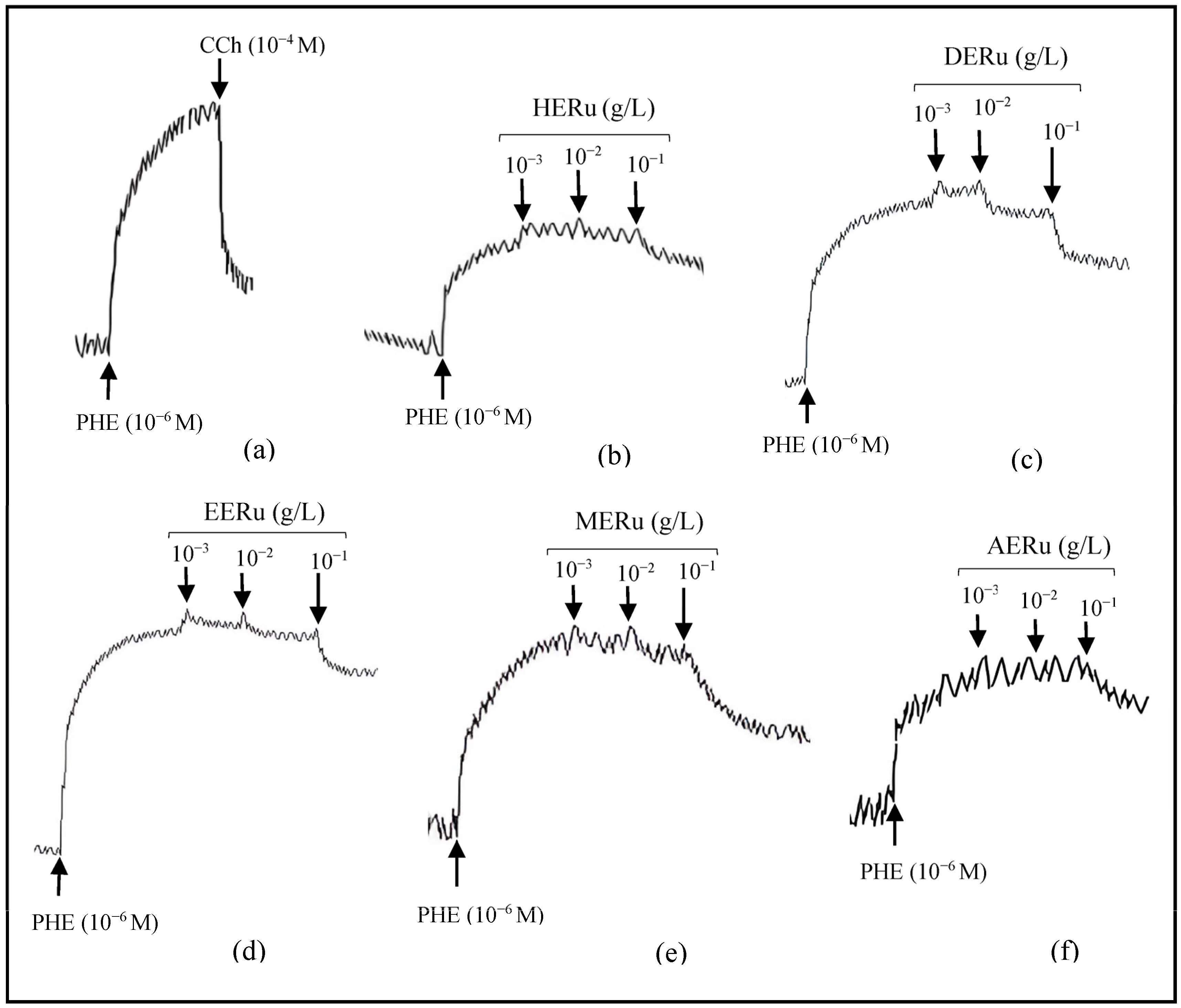 Plants 14 02513 g001