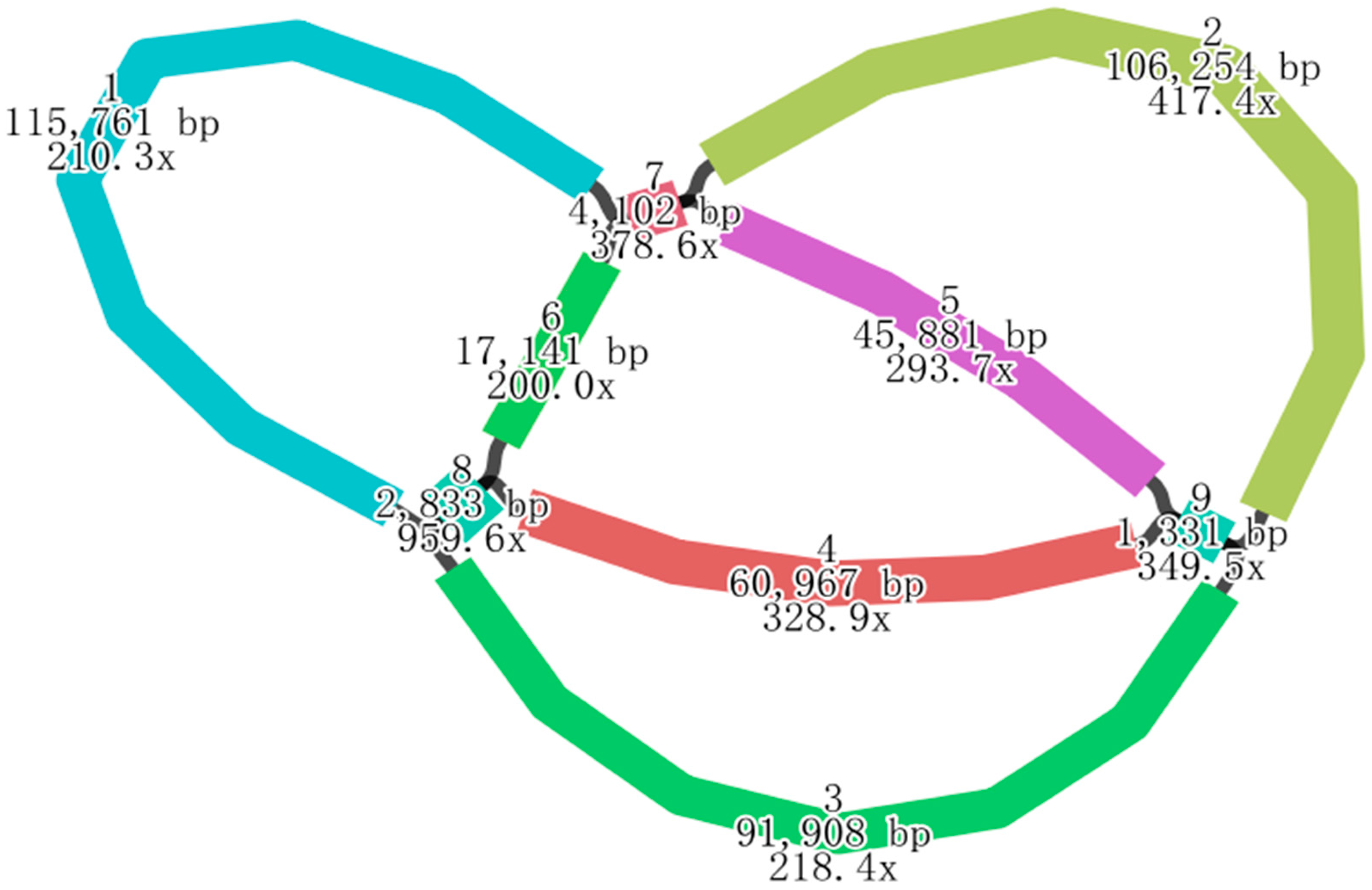 Plants 14 02547 g002