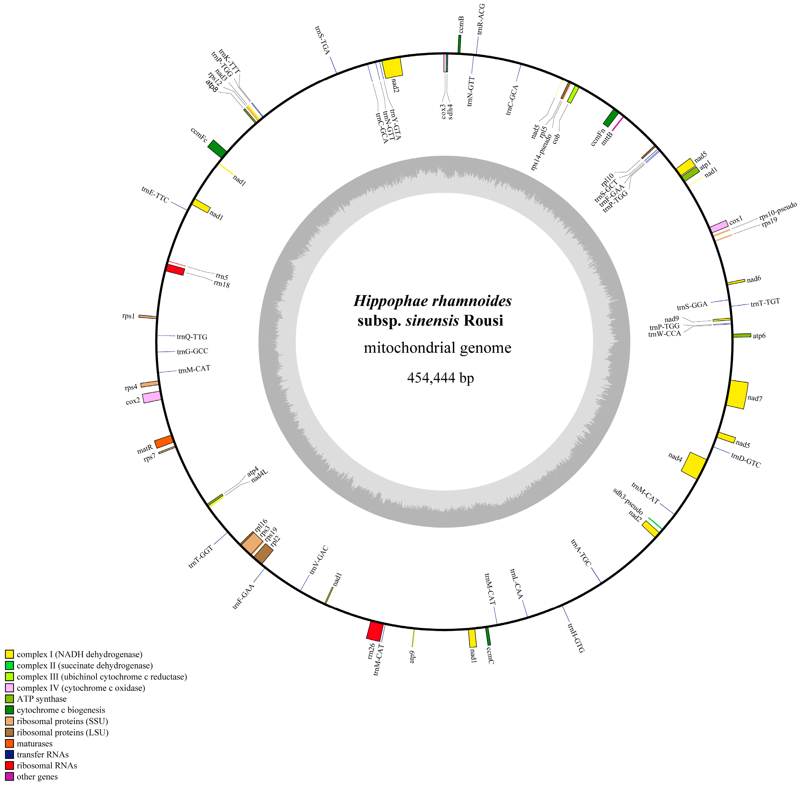 Plants 14 02547 g003