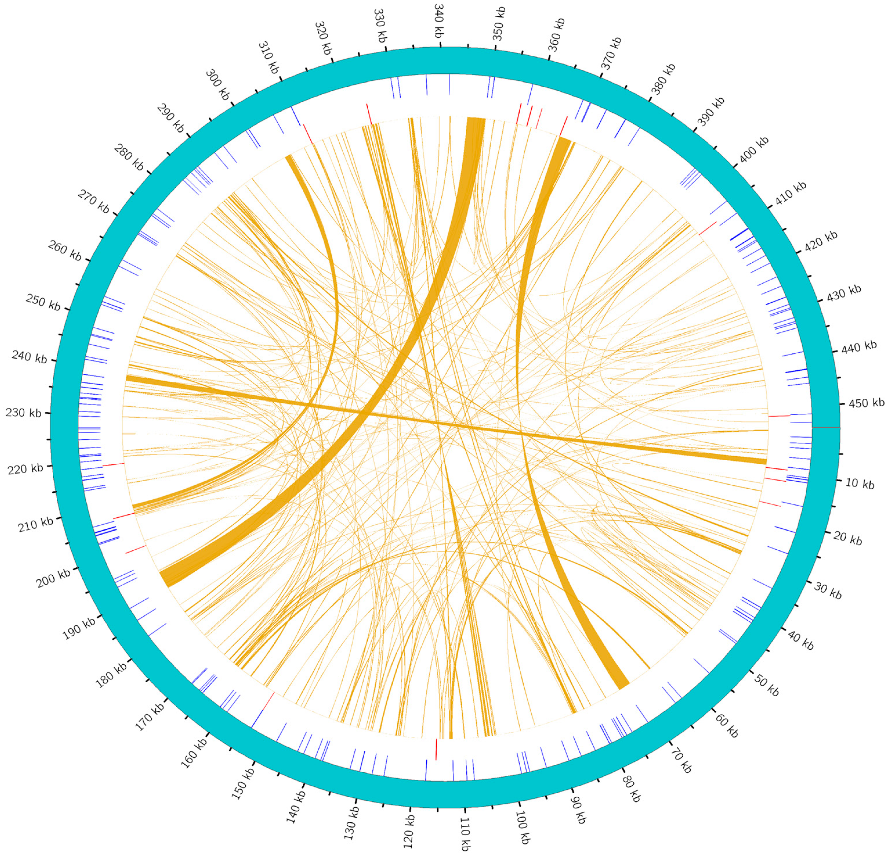 Plants 14 02547 g005