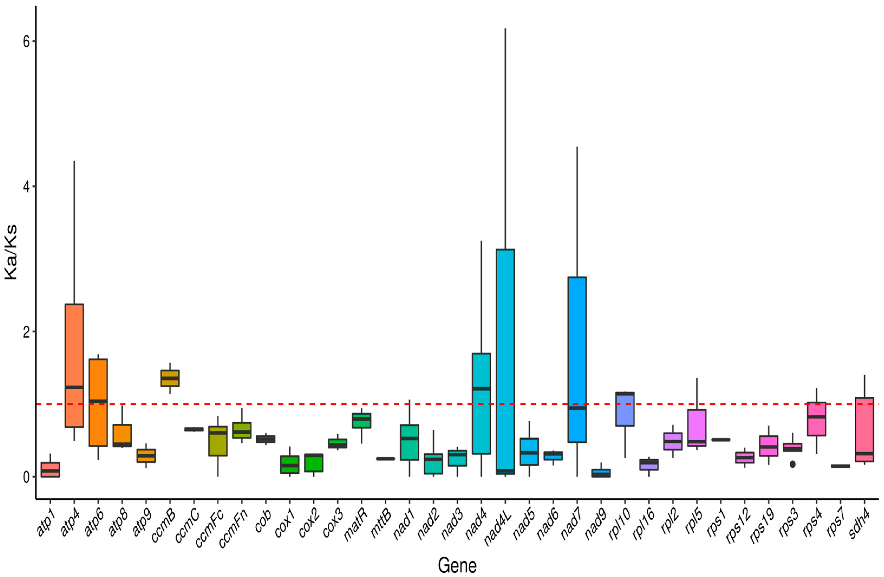Plants 14 02547 g006