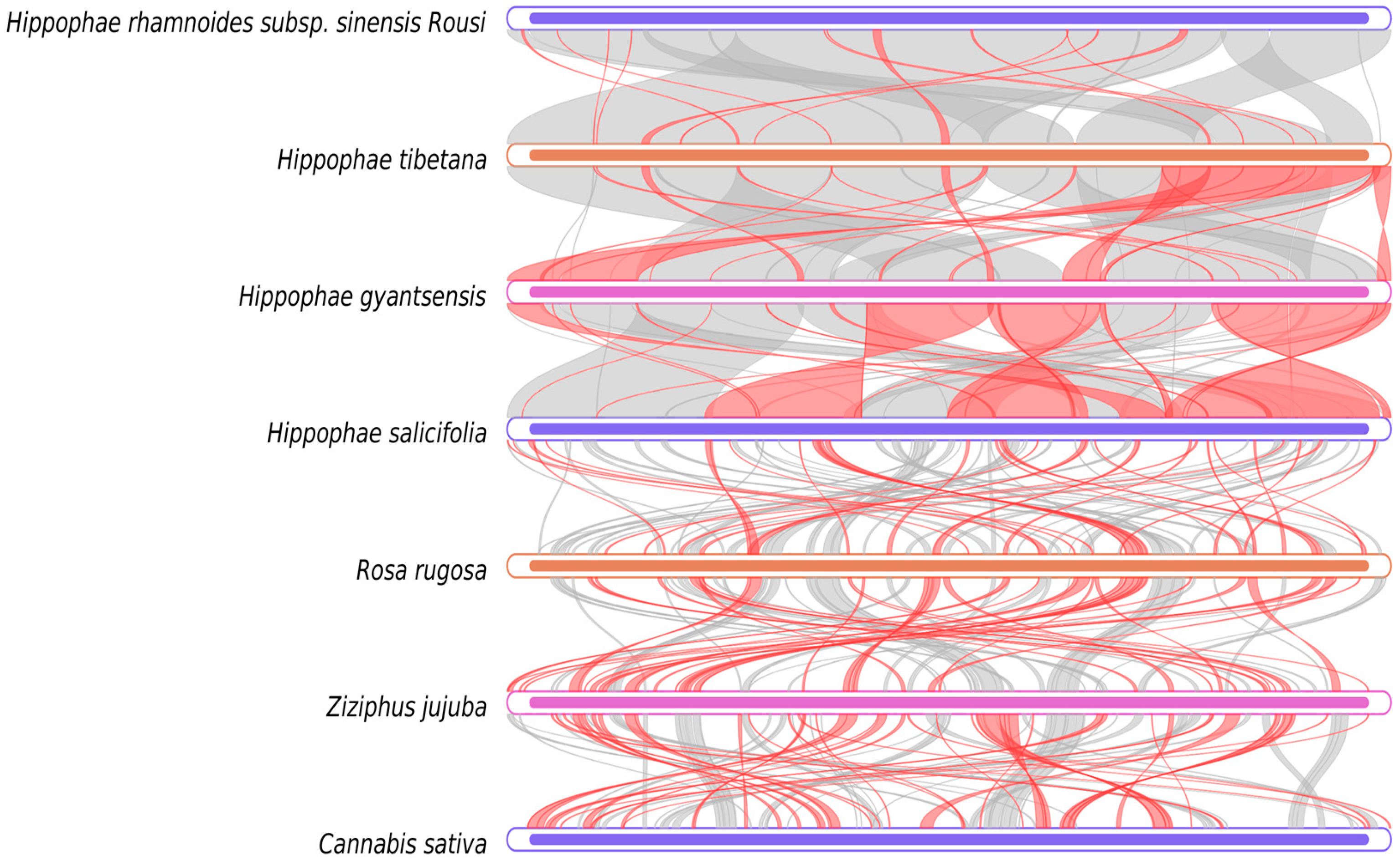Plants 14 02547 g009