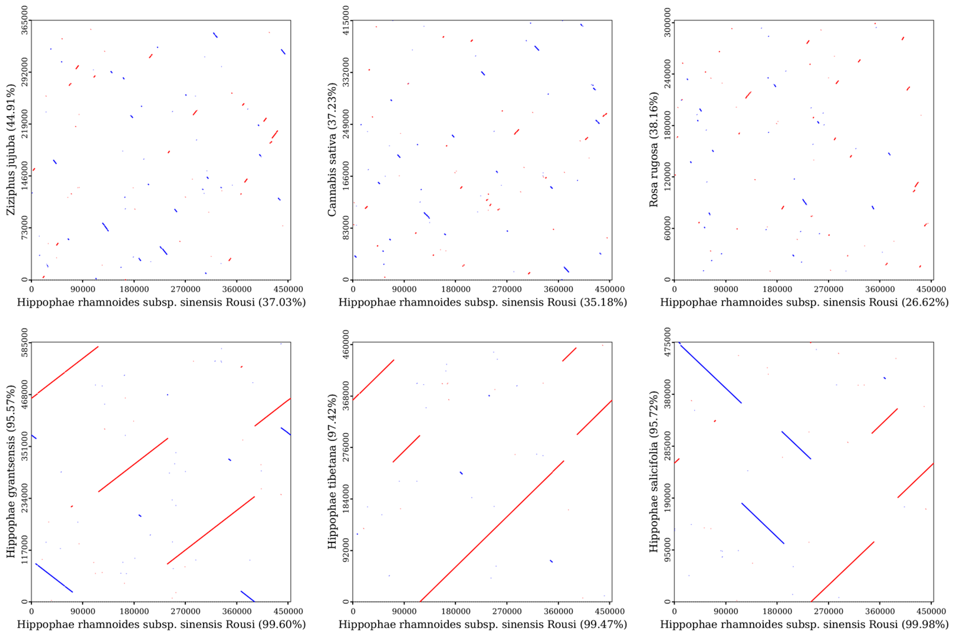 Plants 14 02547 g010