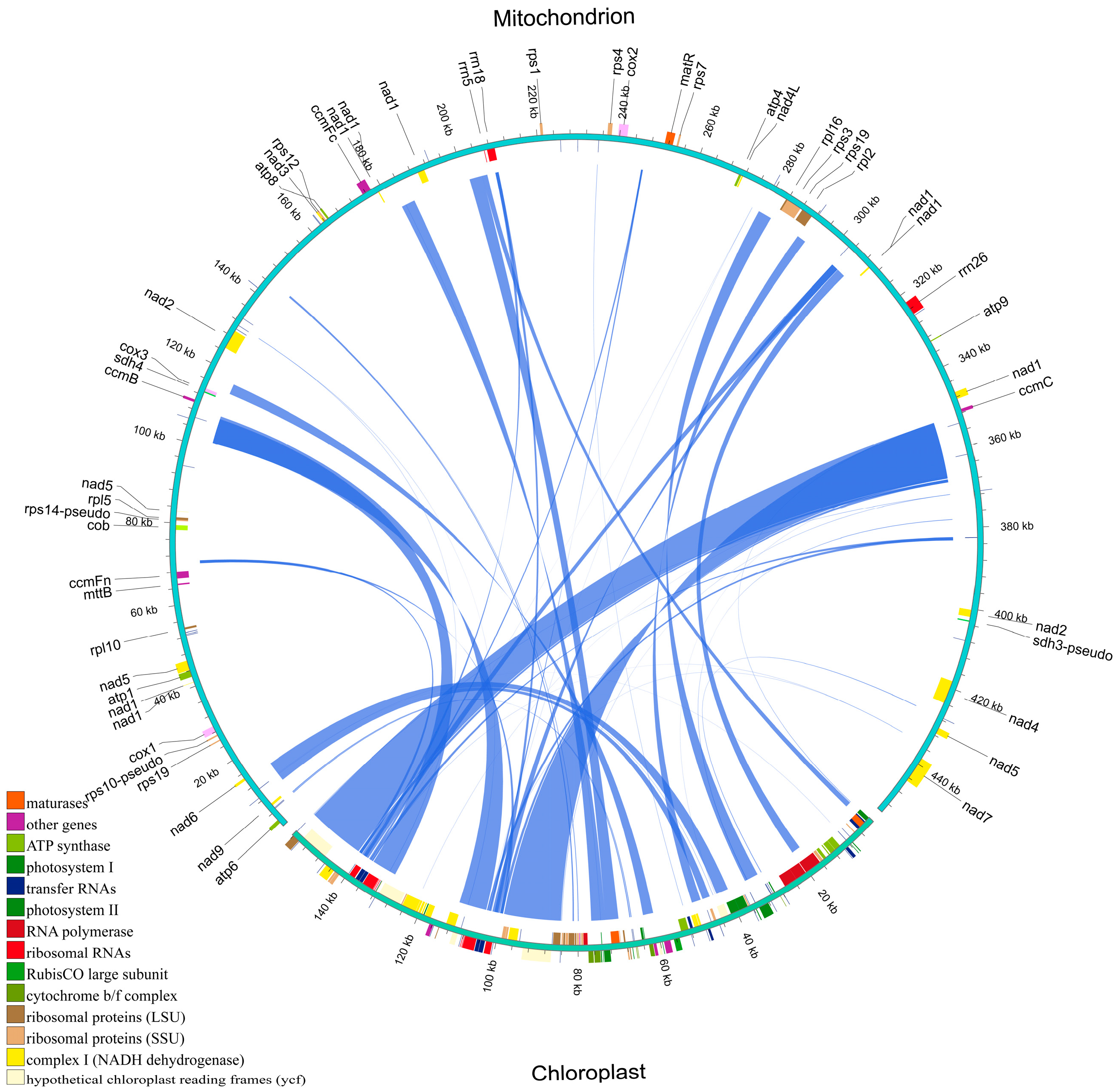 Plants 14 02547 g011