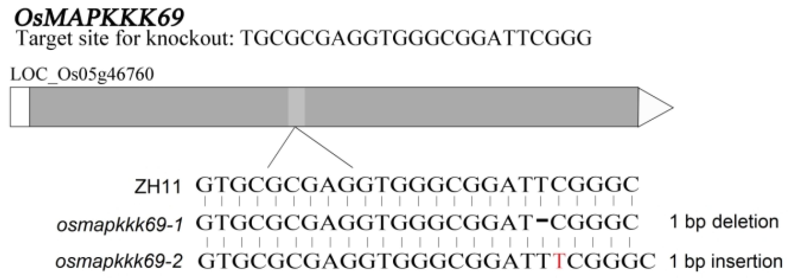 Plants 14 02566 g002