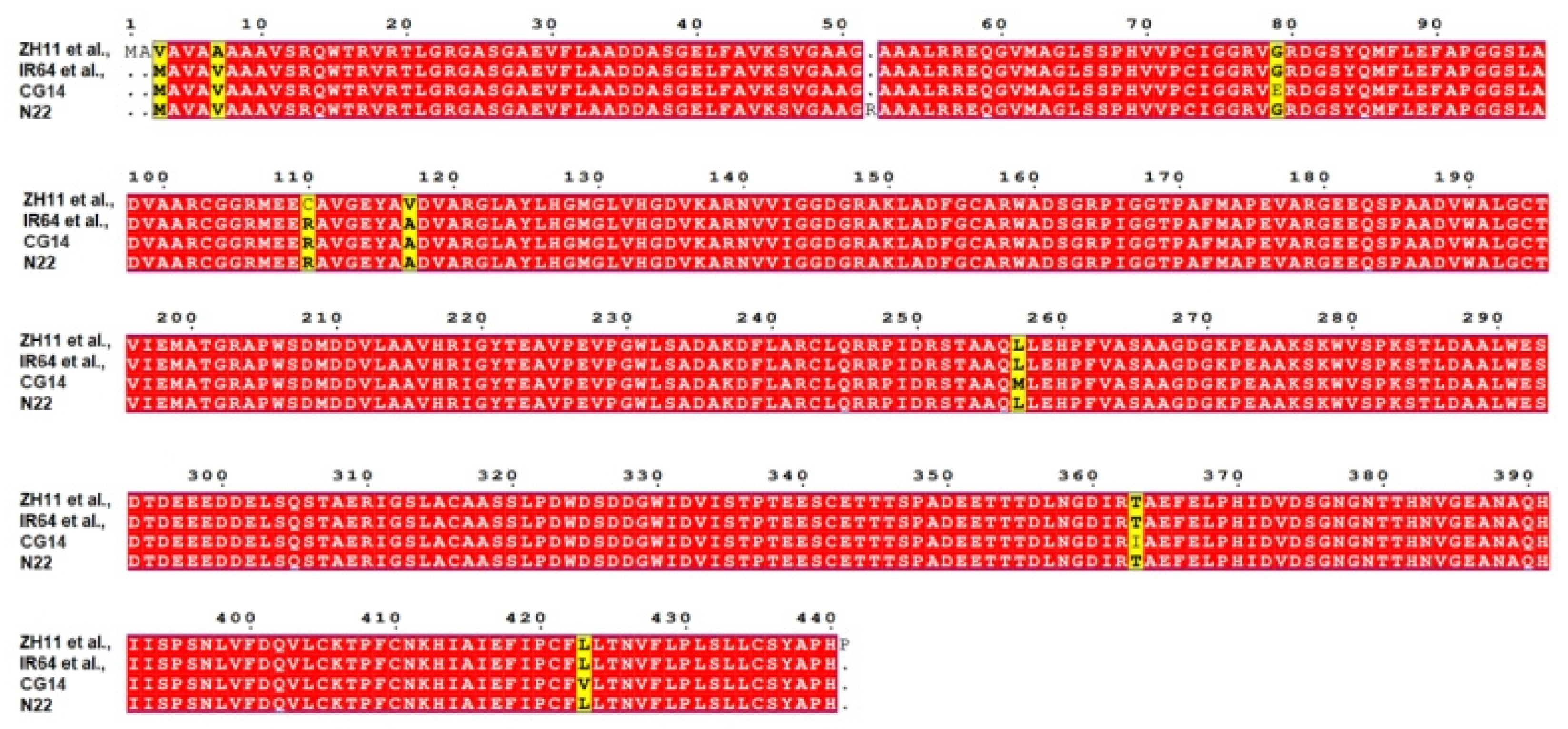 Plants 14 02566 g007