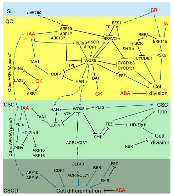 Plants 14 02574 g002