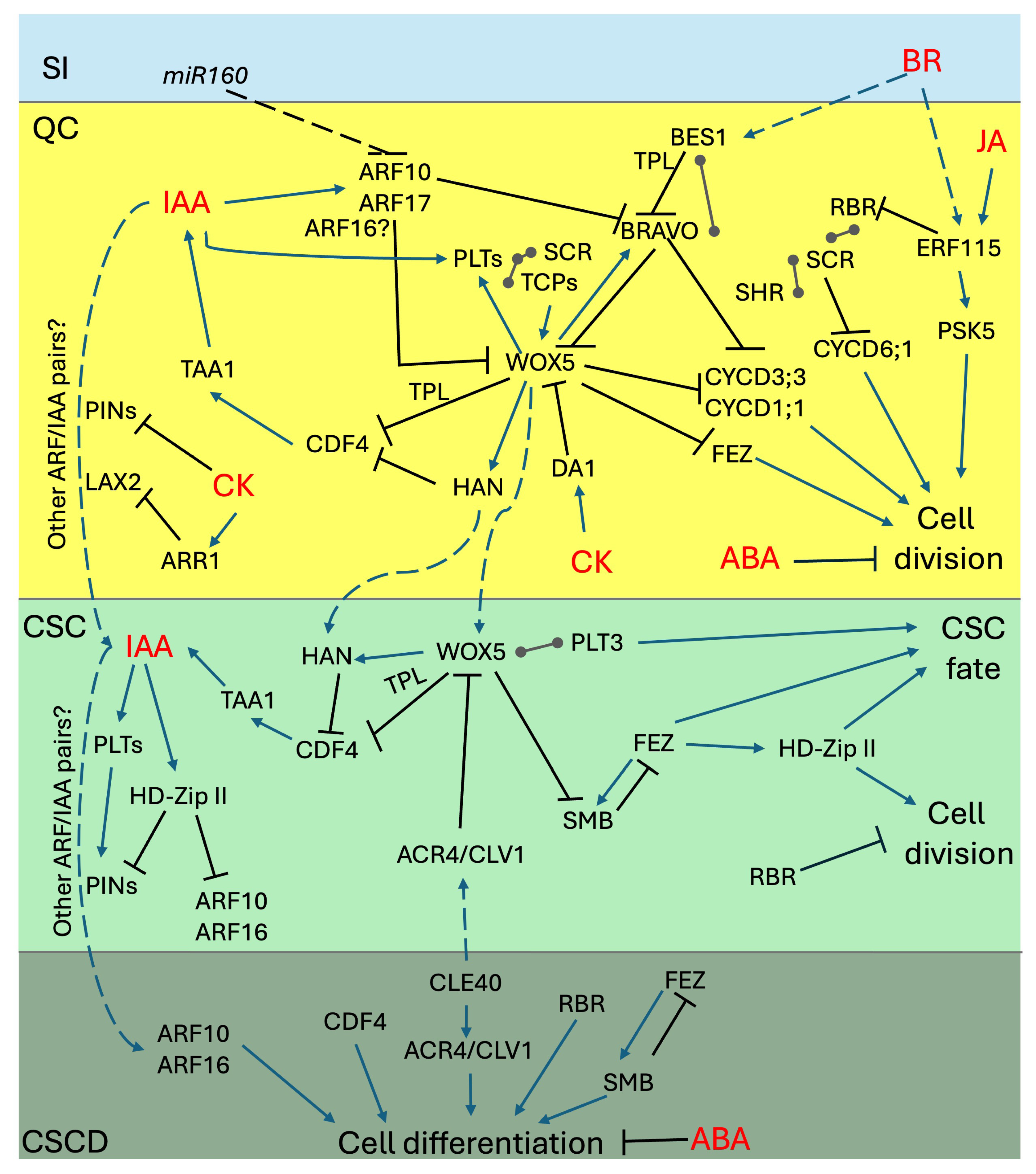Plants 14 02574 g002