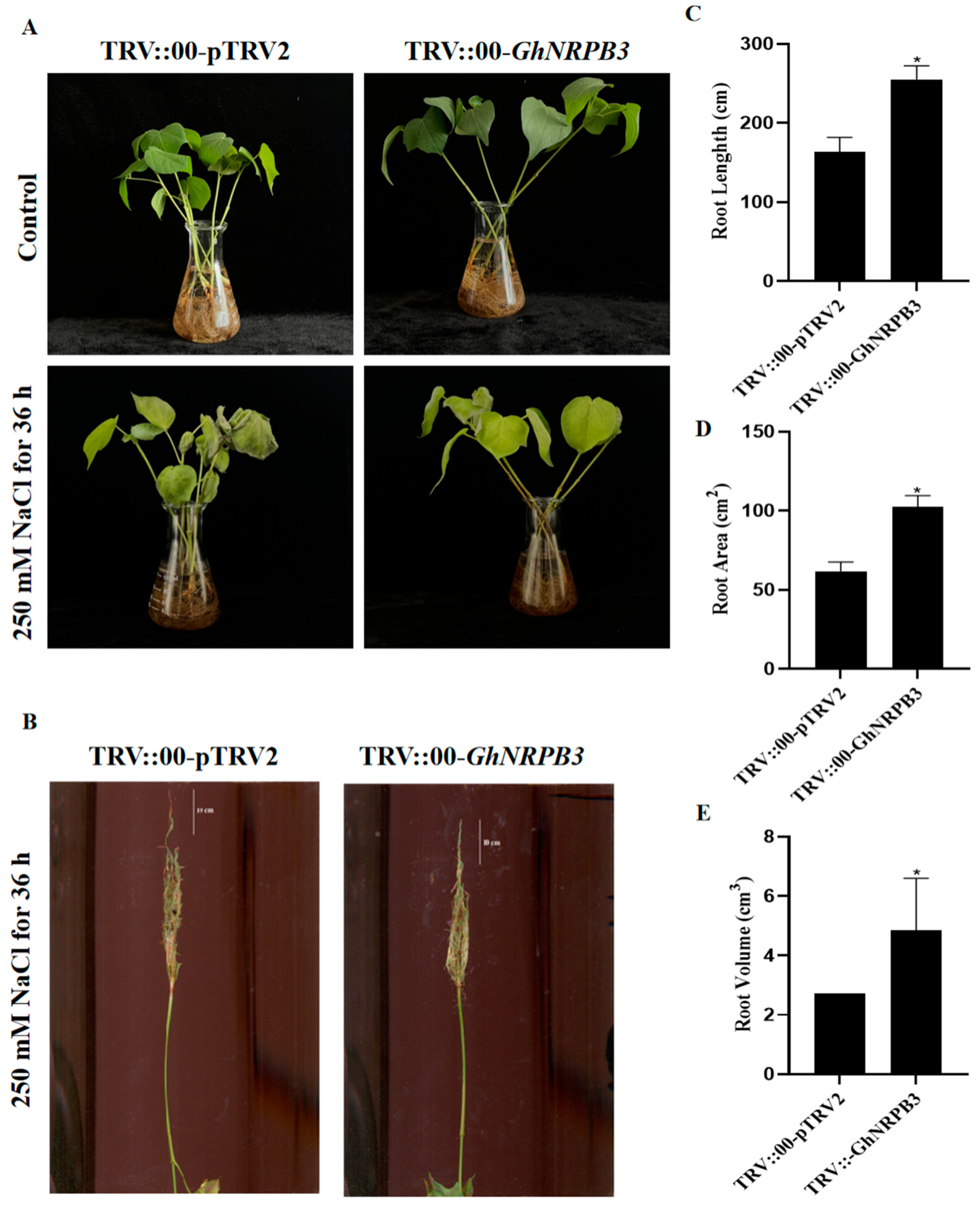 Plants 14 02575 g004 Plants 14 02575 g004