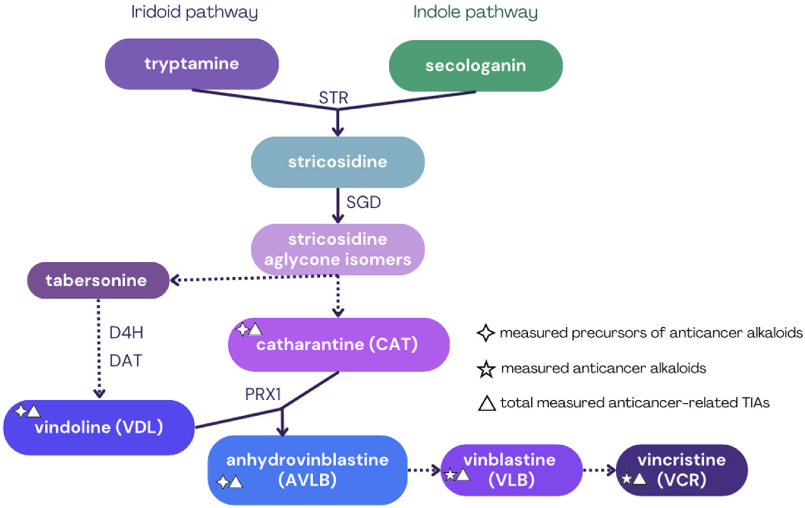 Plants 14 02576 g001