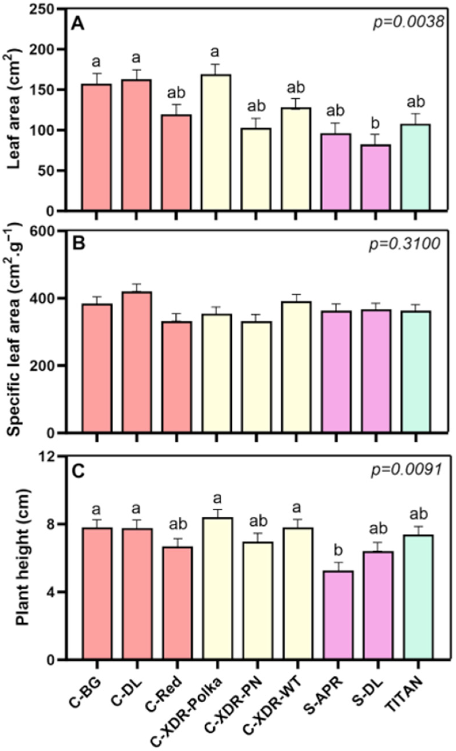 Plants 14 02576 g004