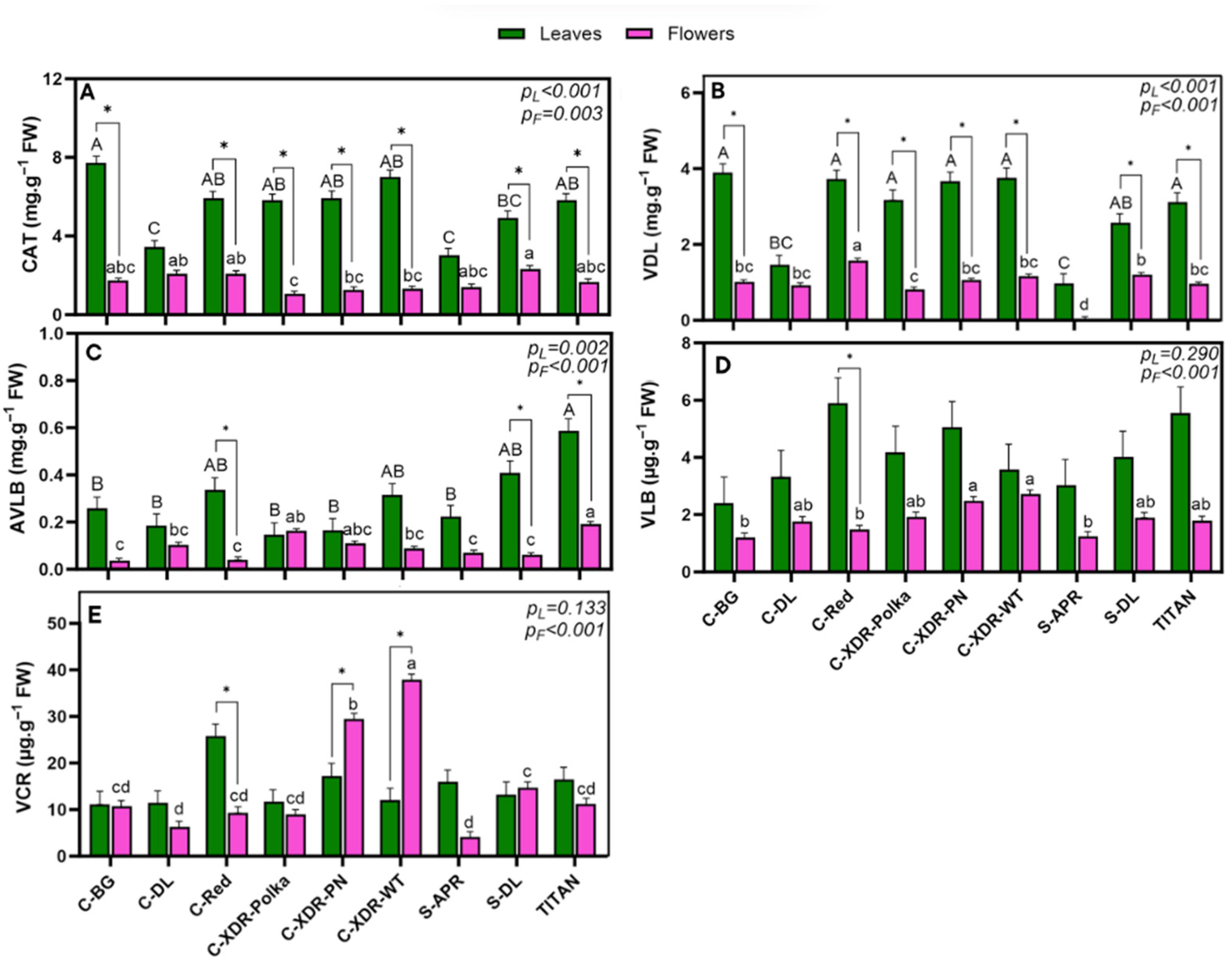 Plants 14 02576 g007