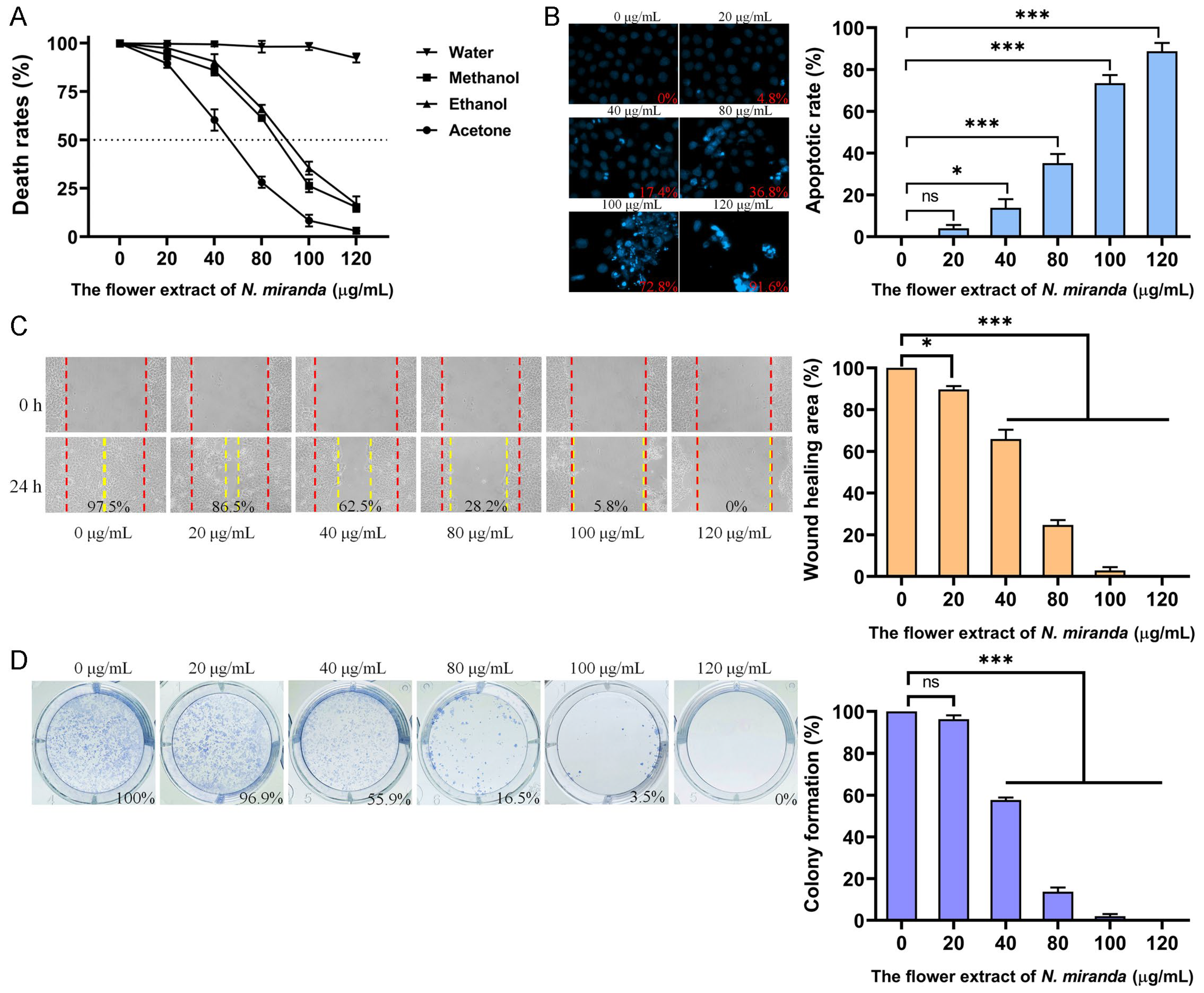 Plants 14 02579 g006 Plants 14 02579 g006