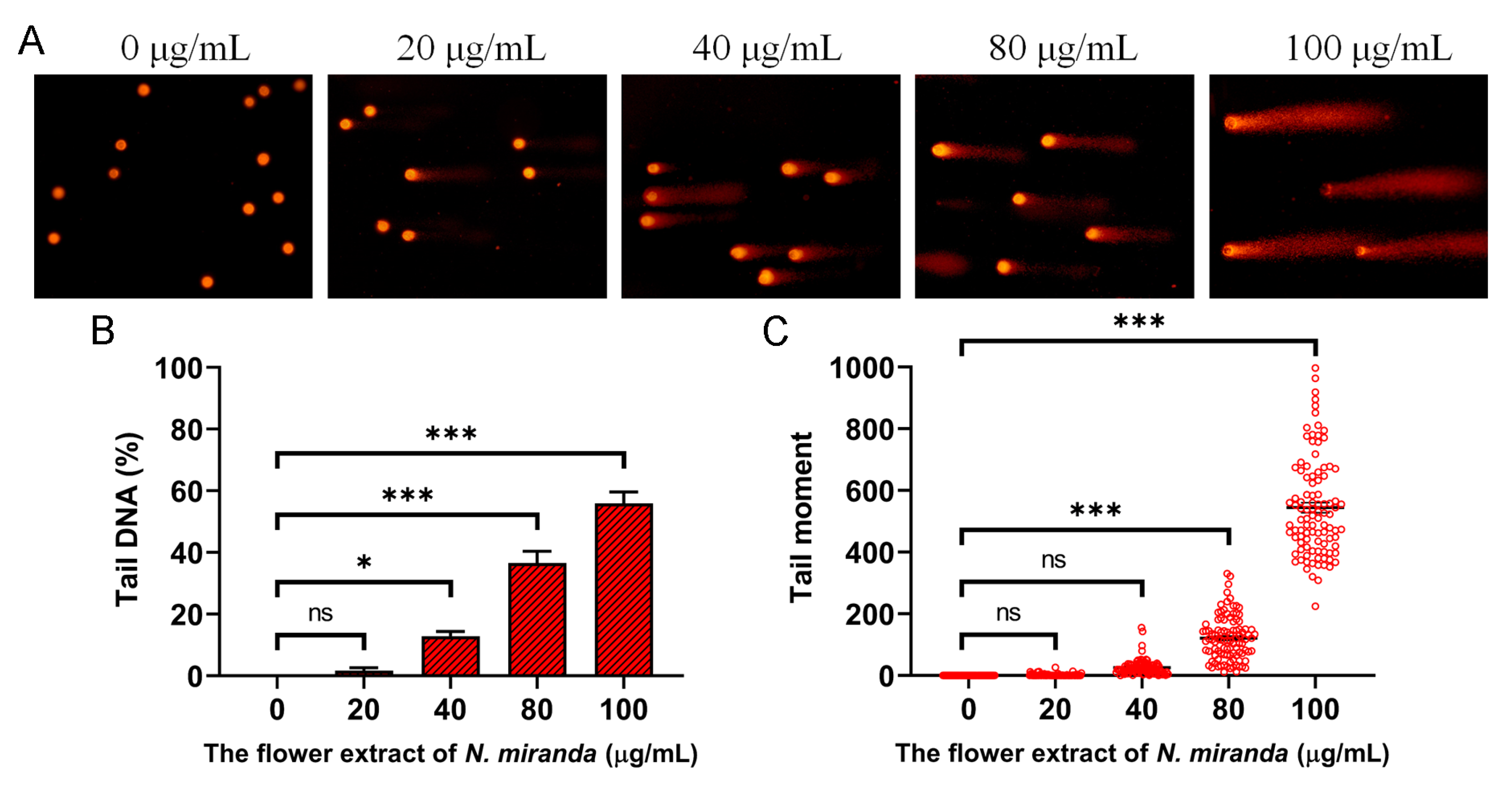 Plants 14 02579 g007 Plants 14 02579 g007