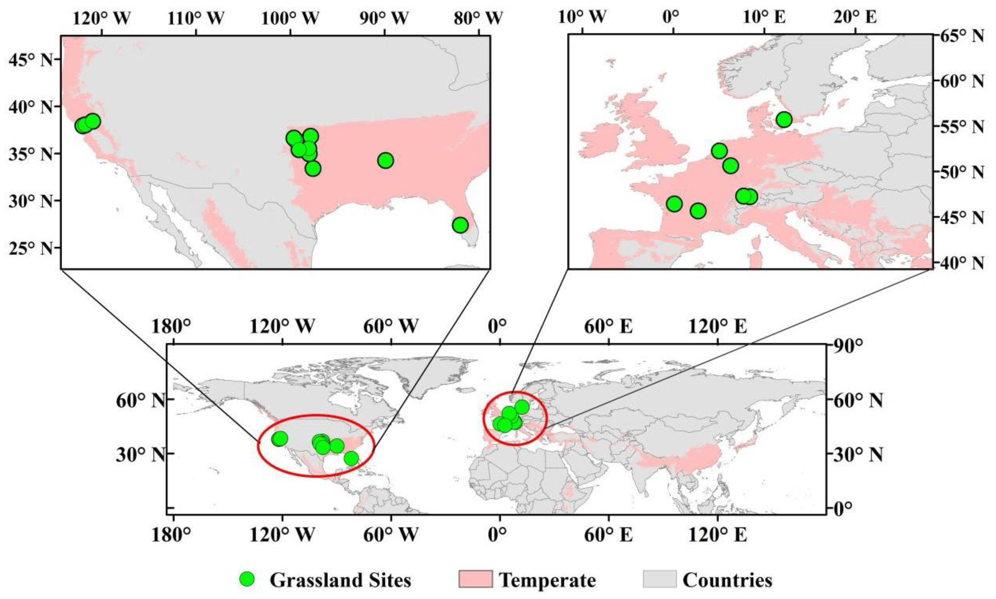 Plants 14 02590 g006