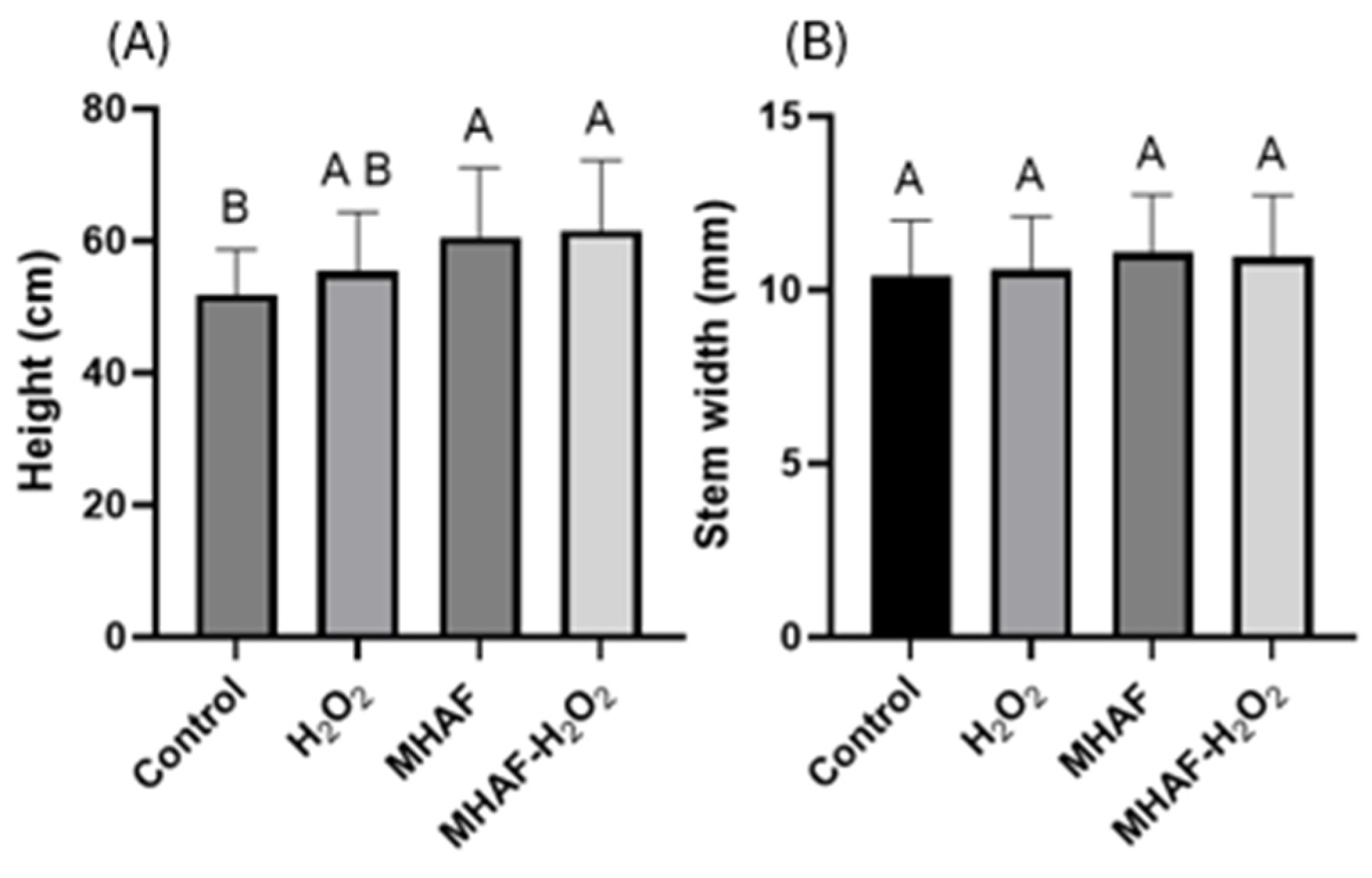 Plants 14 02591 g001