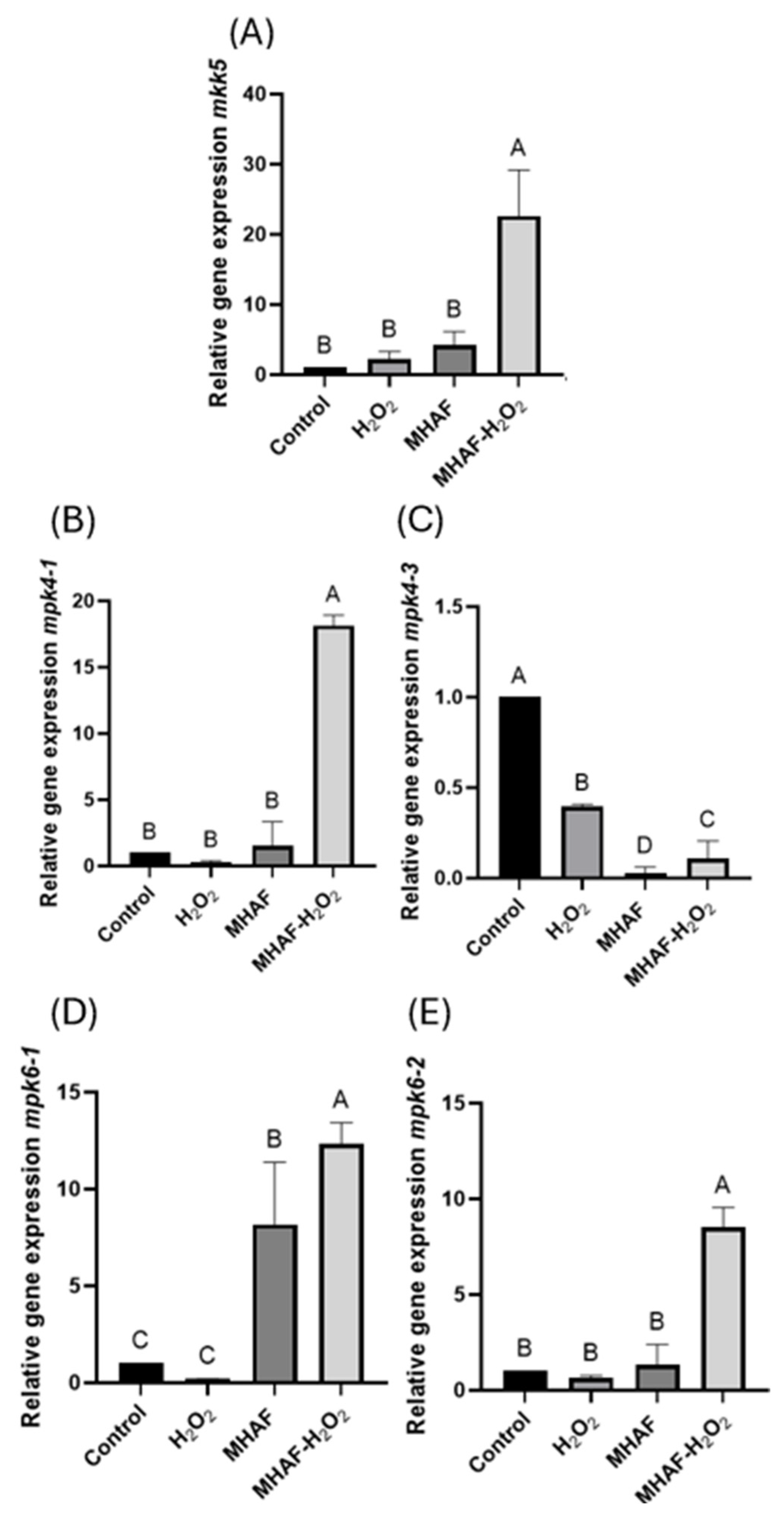 Plants 14 02591 g006