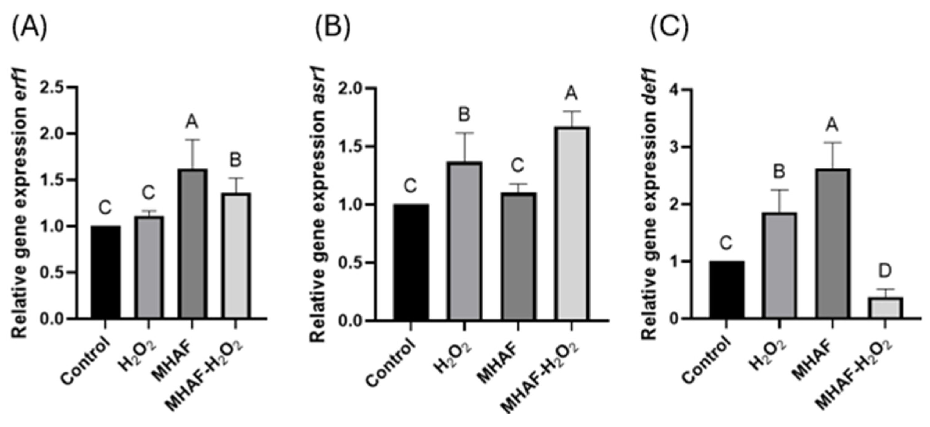 Plants 14 02591 g007