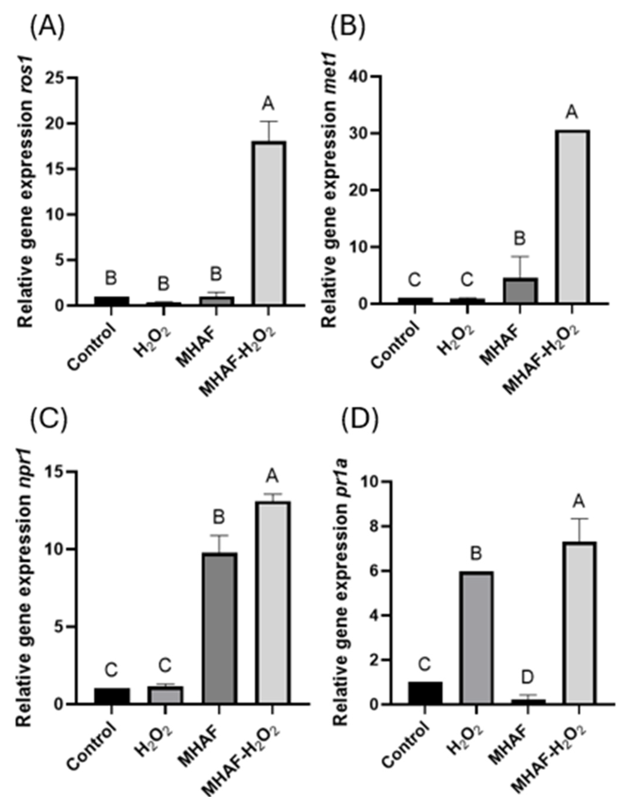 Plants 14 02591 g008
