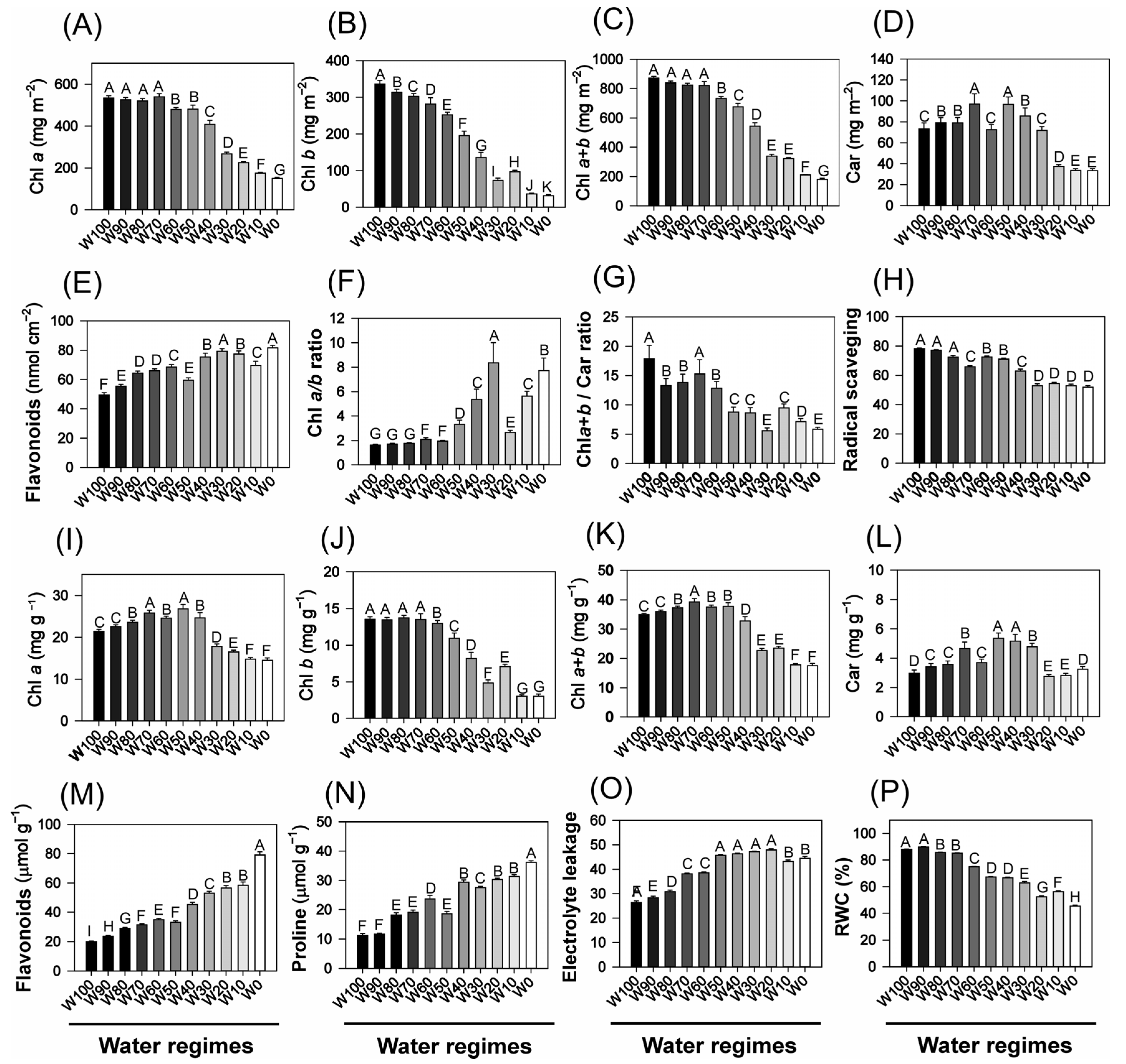 Plants 14 02615 g004