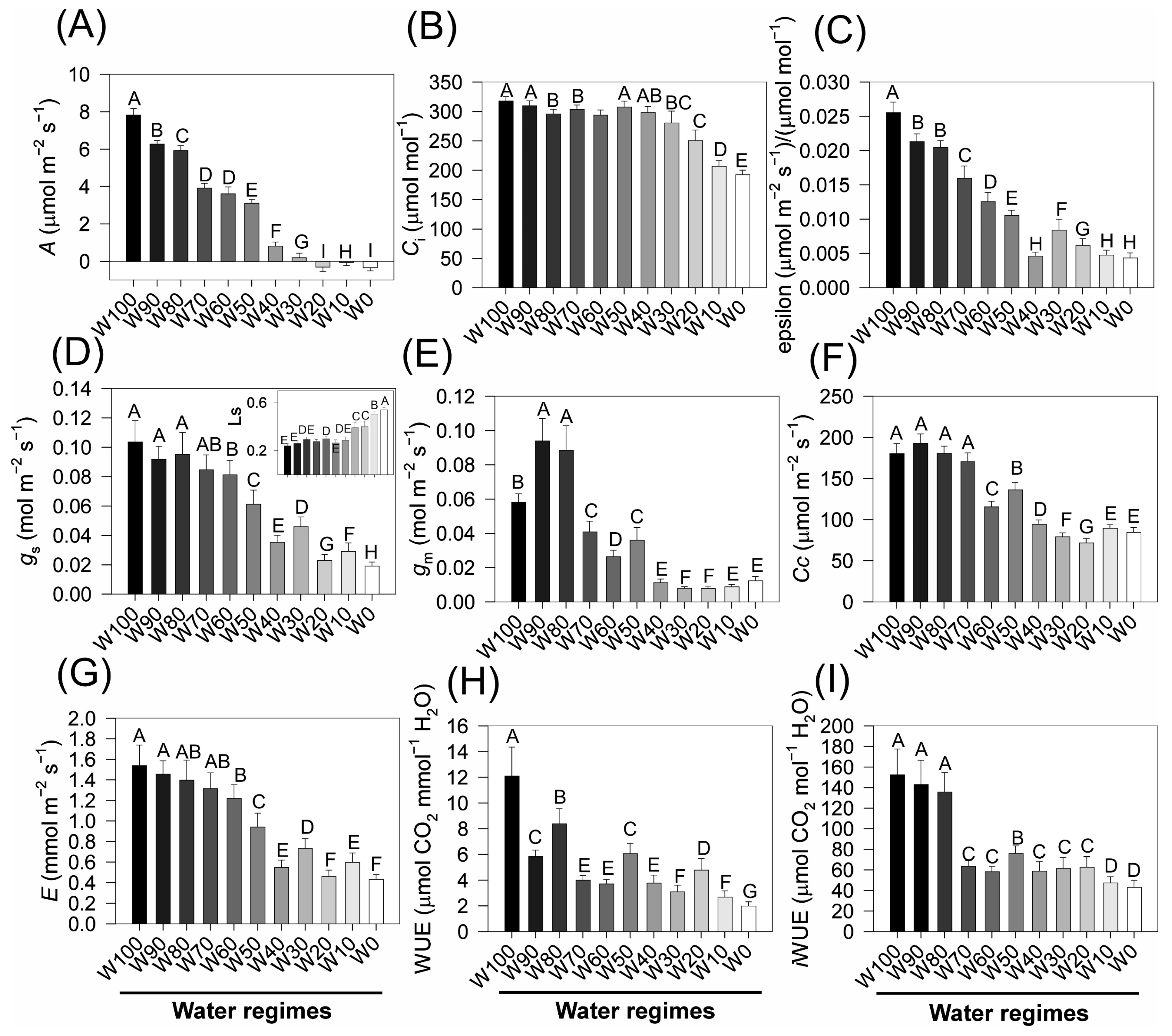 Plants 14 02615 g006