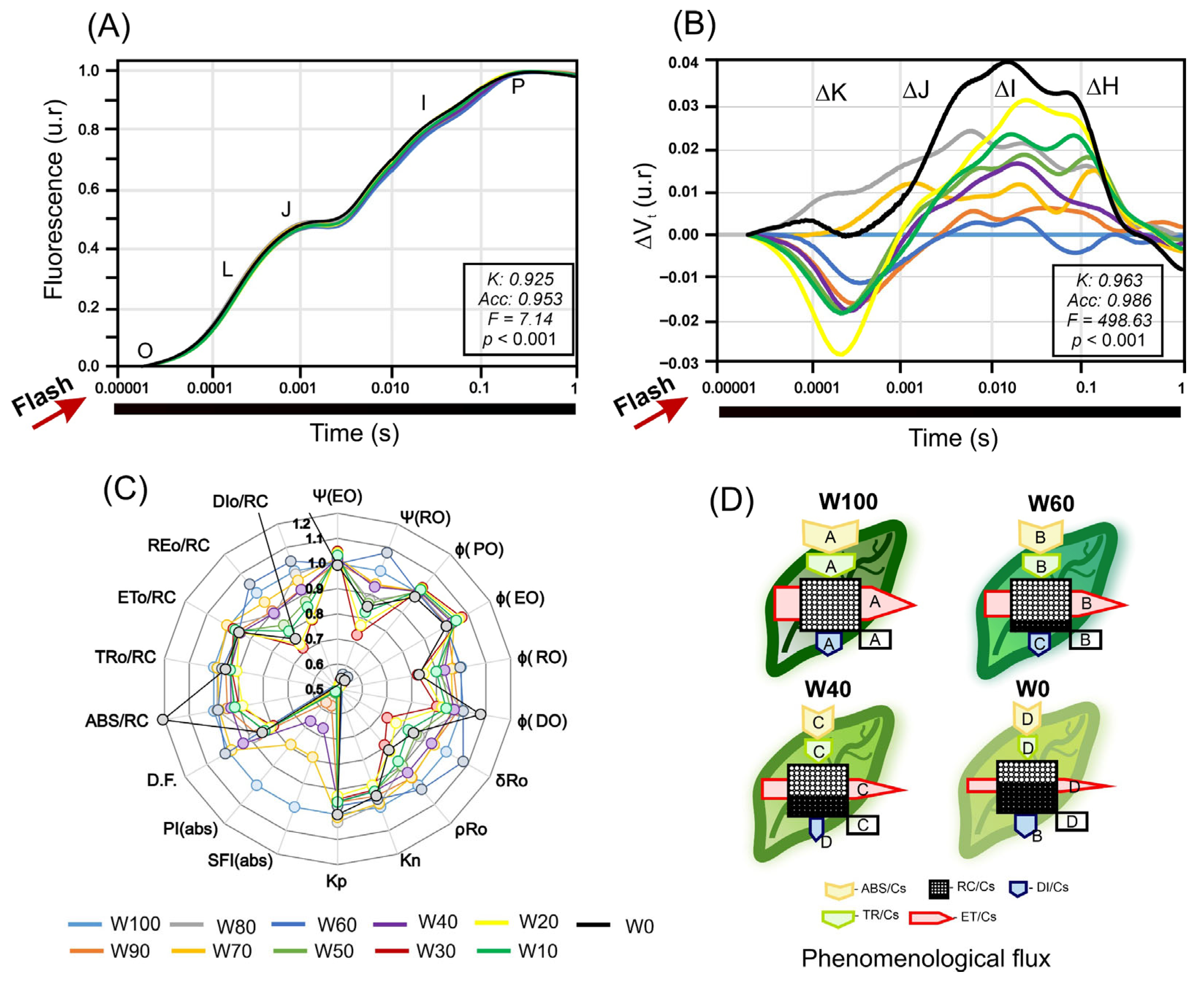 Plants 14 02615 g008