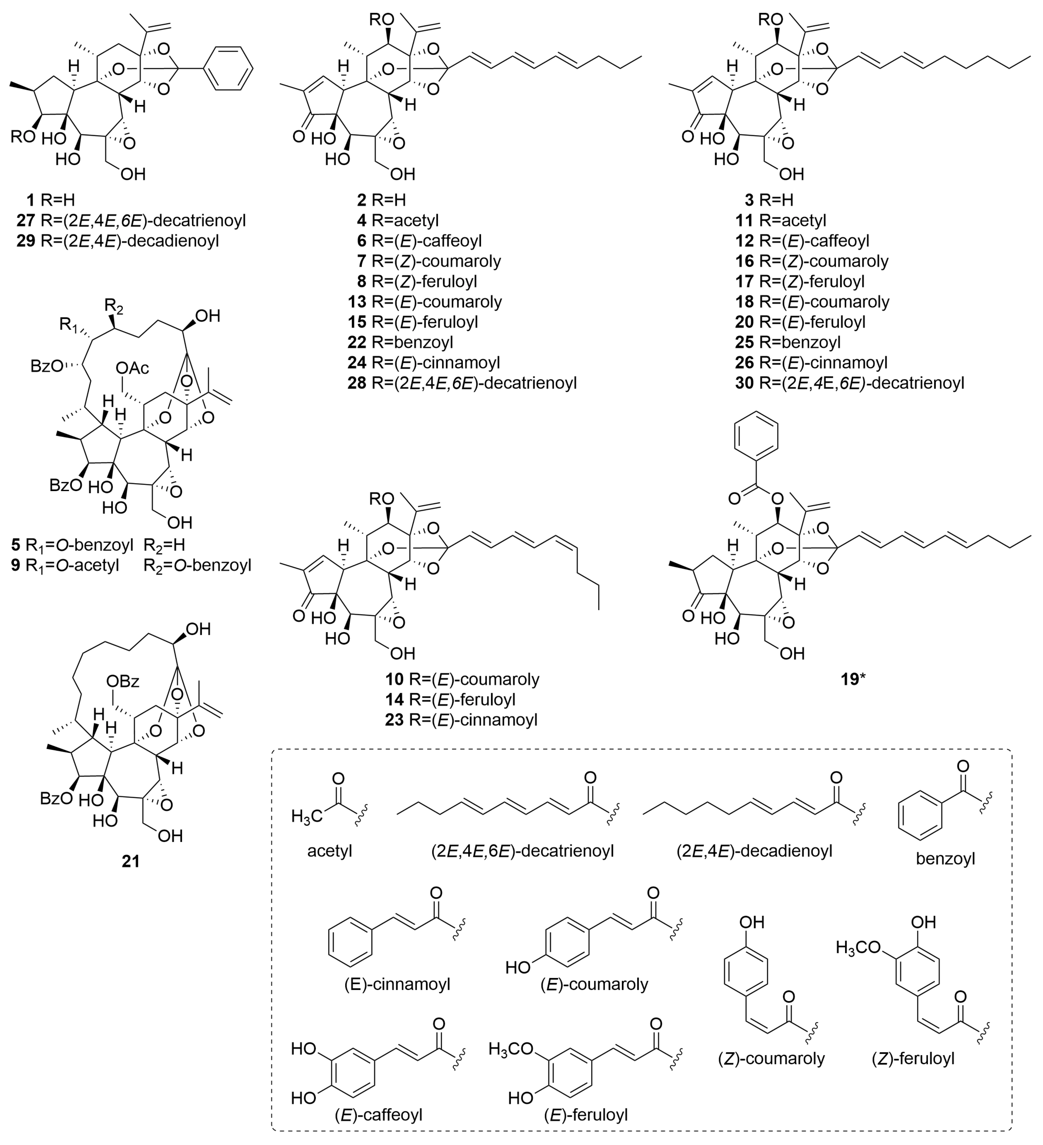 Plants 14 02616 g003