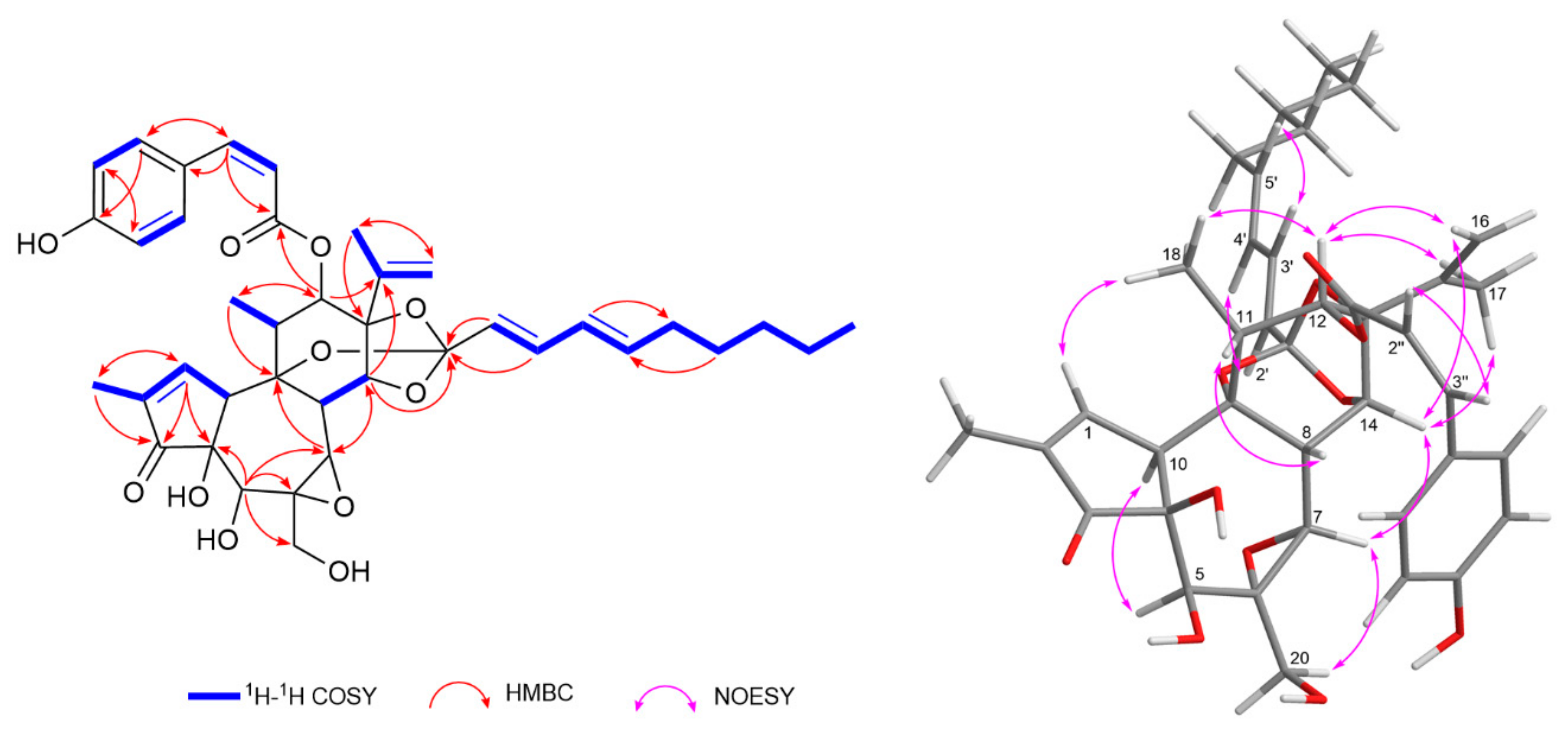 Plants 14 02616 g004