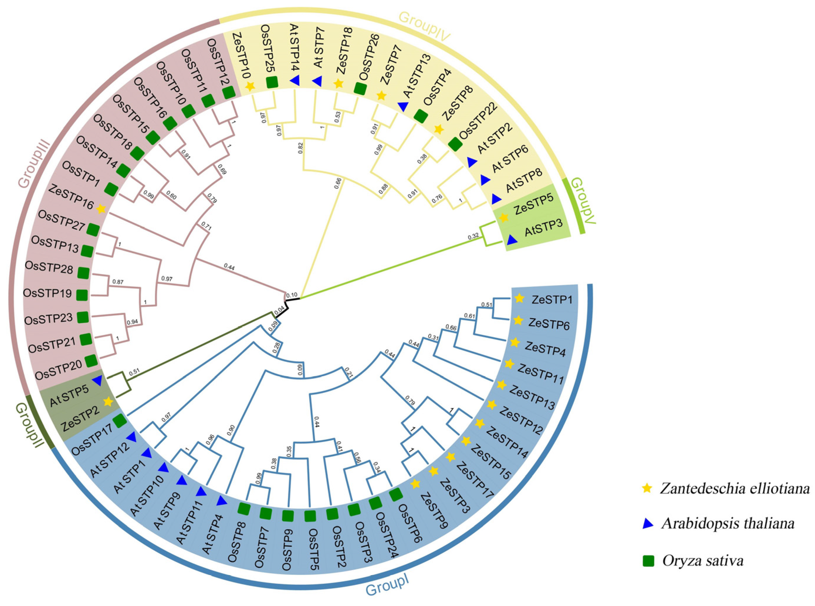 Plants 14 02631 g001