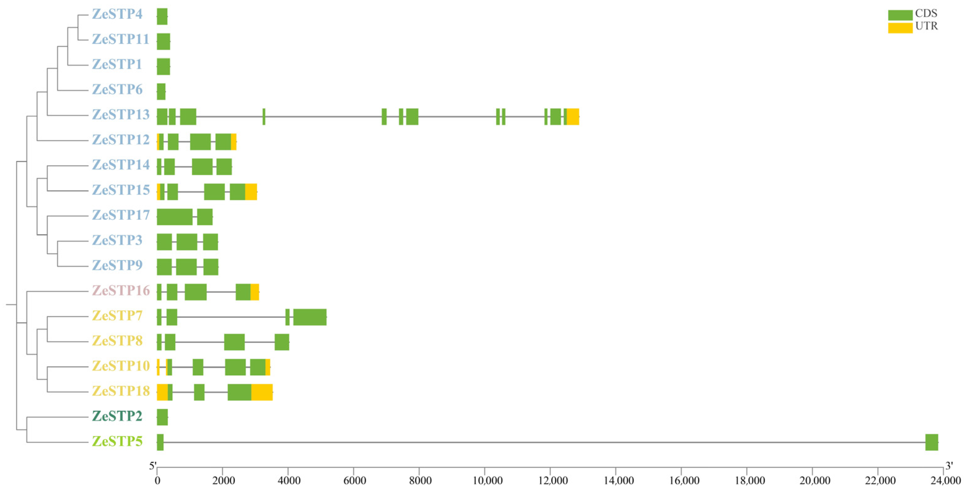 Plants 14 02631 g002