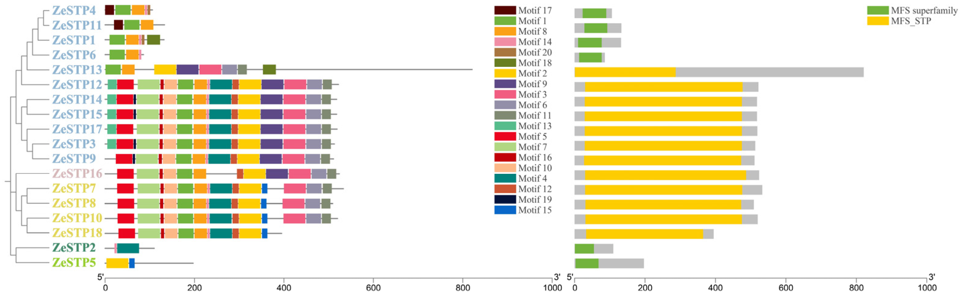 Plants 14 02631 g003