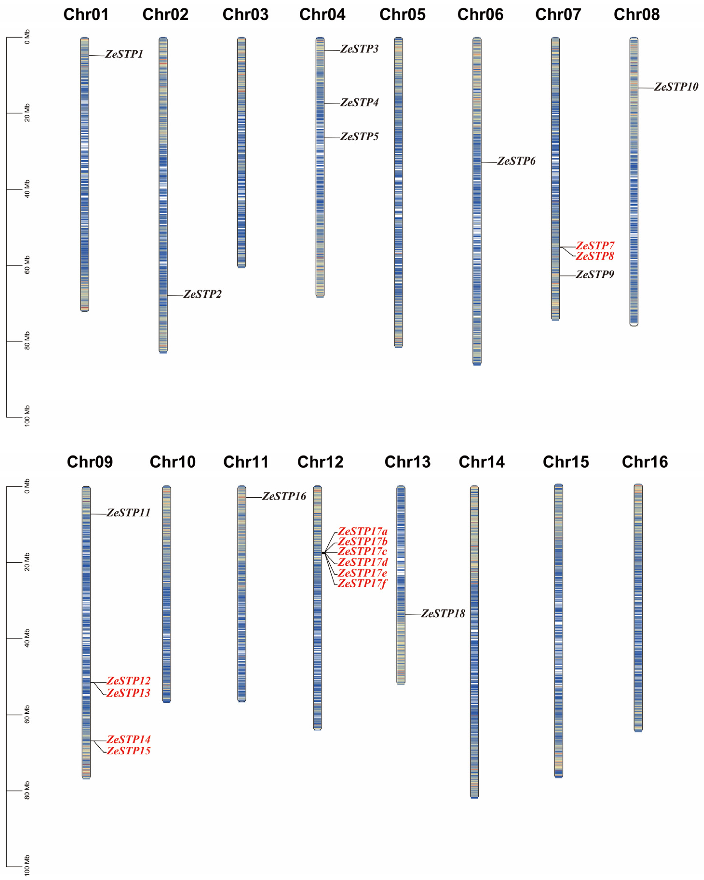 Plants 14 02631 g004