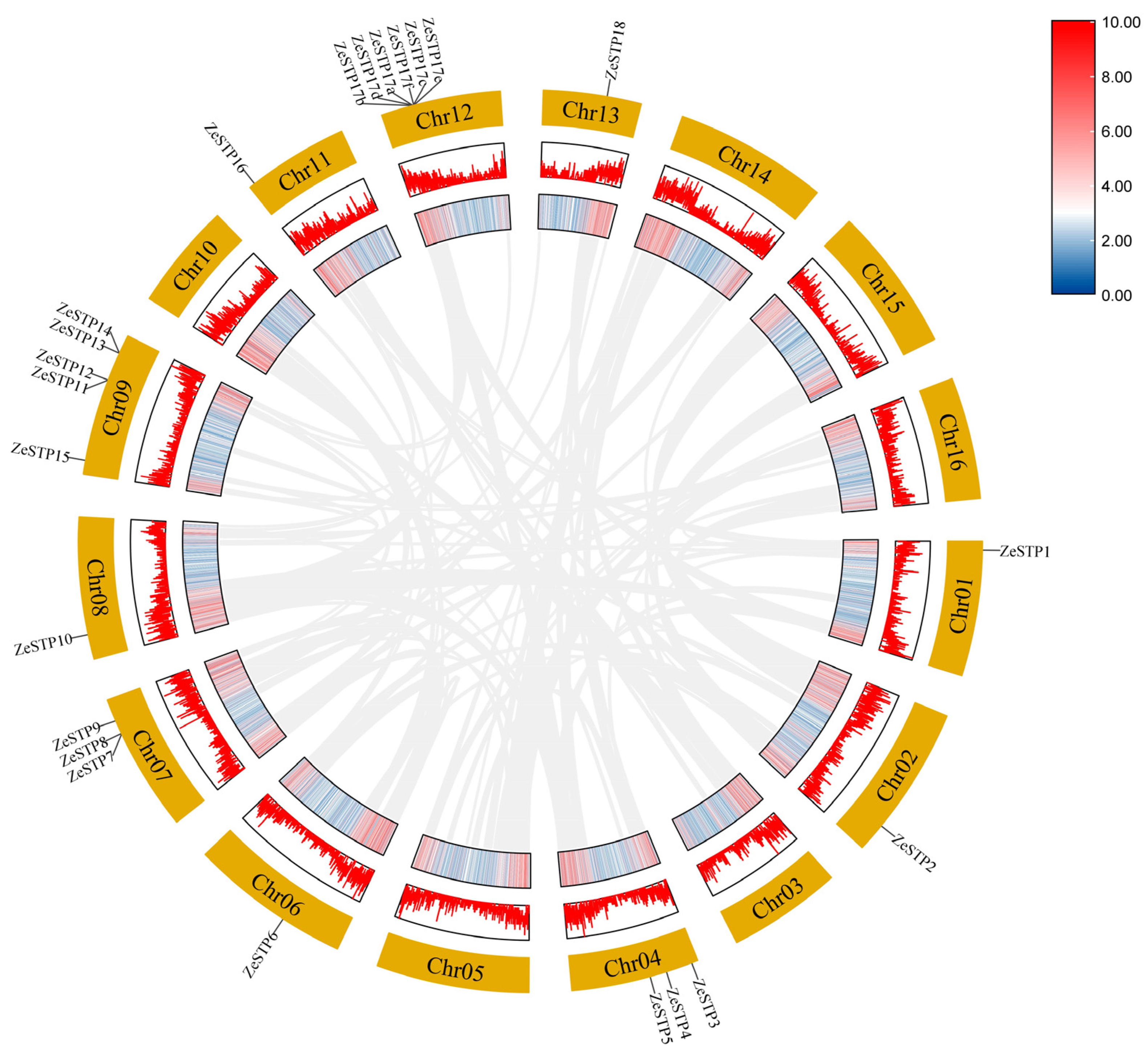Plants 14 02631 g005
