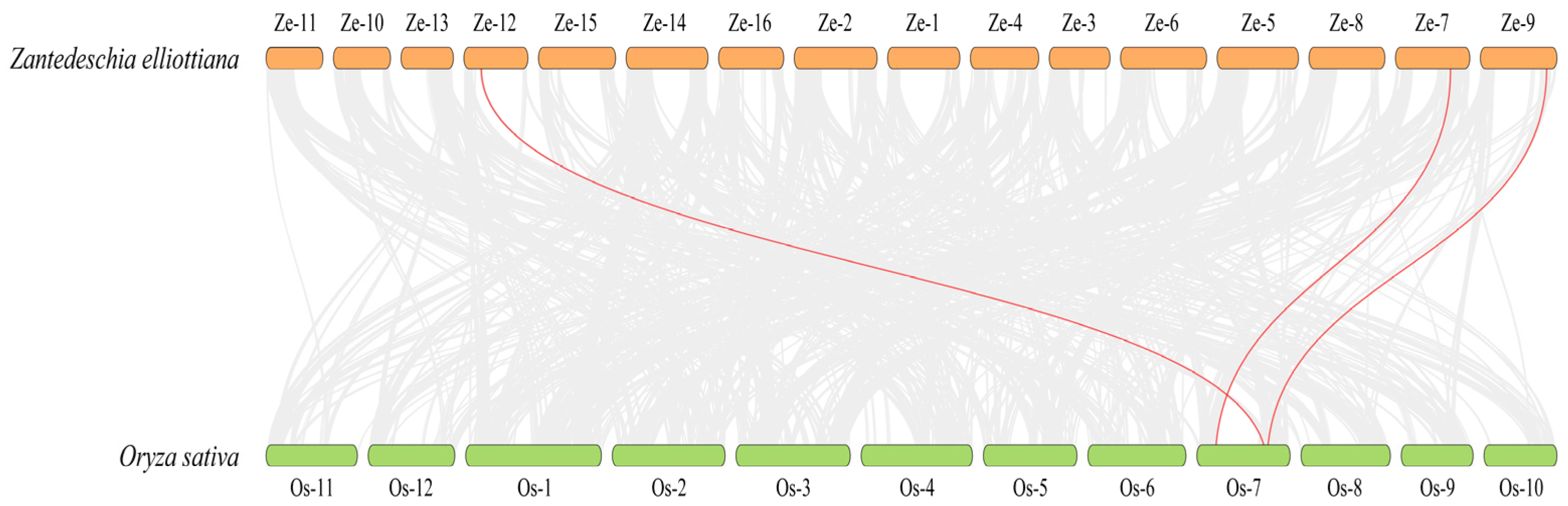 Plants 14 02631 g006