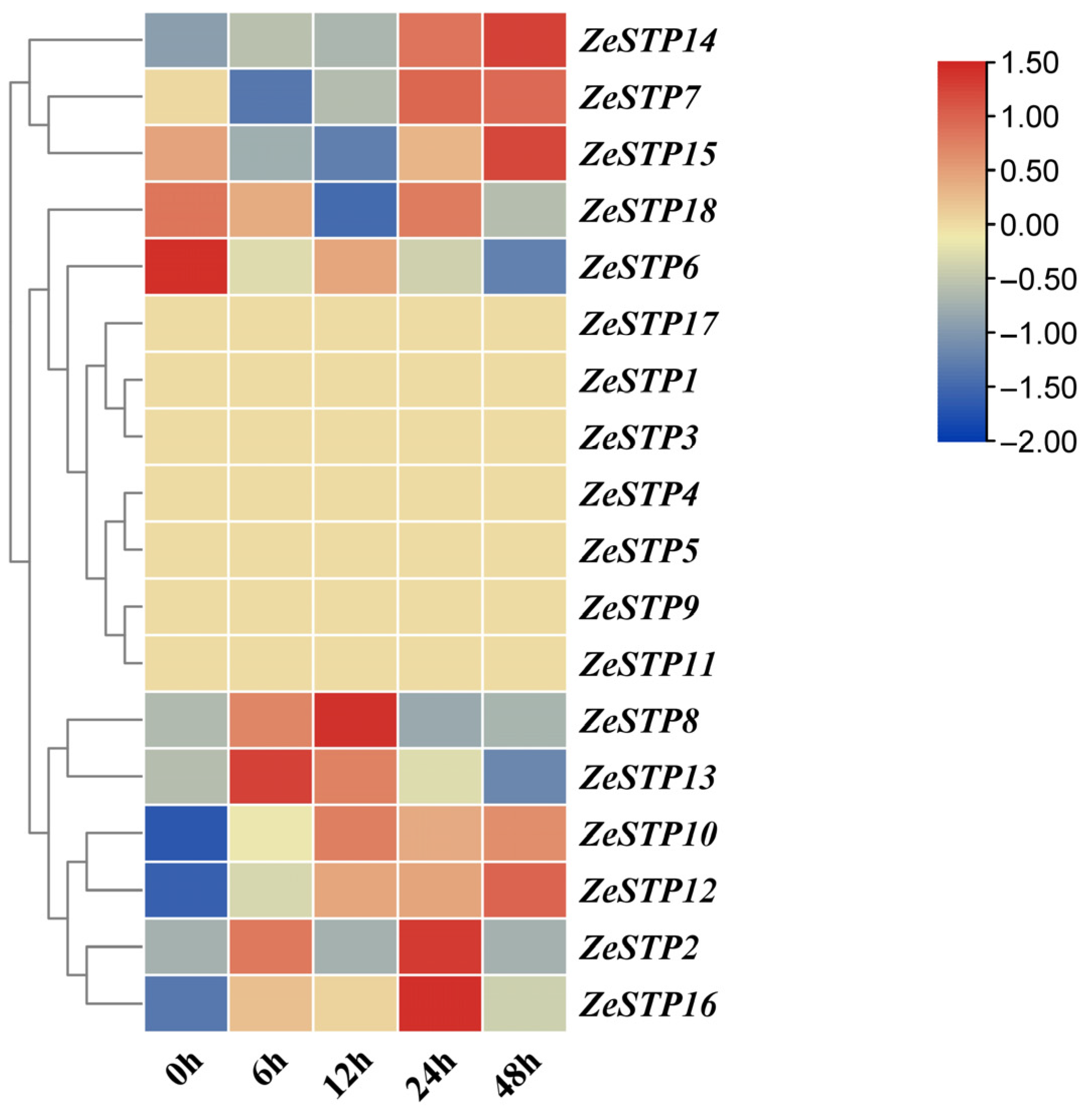 Plants 14 02631 g007