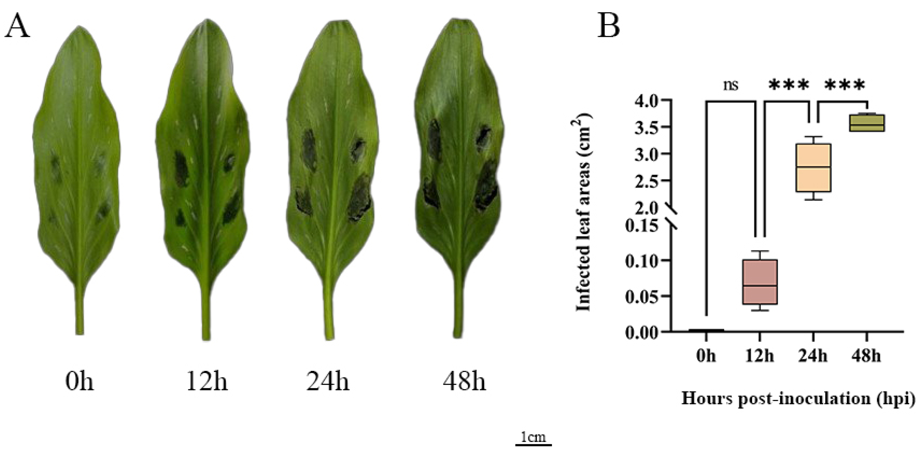Plants 14 02631 g008