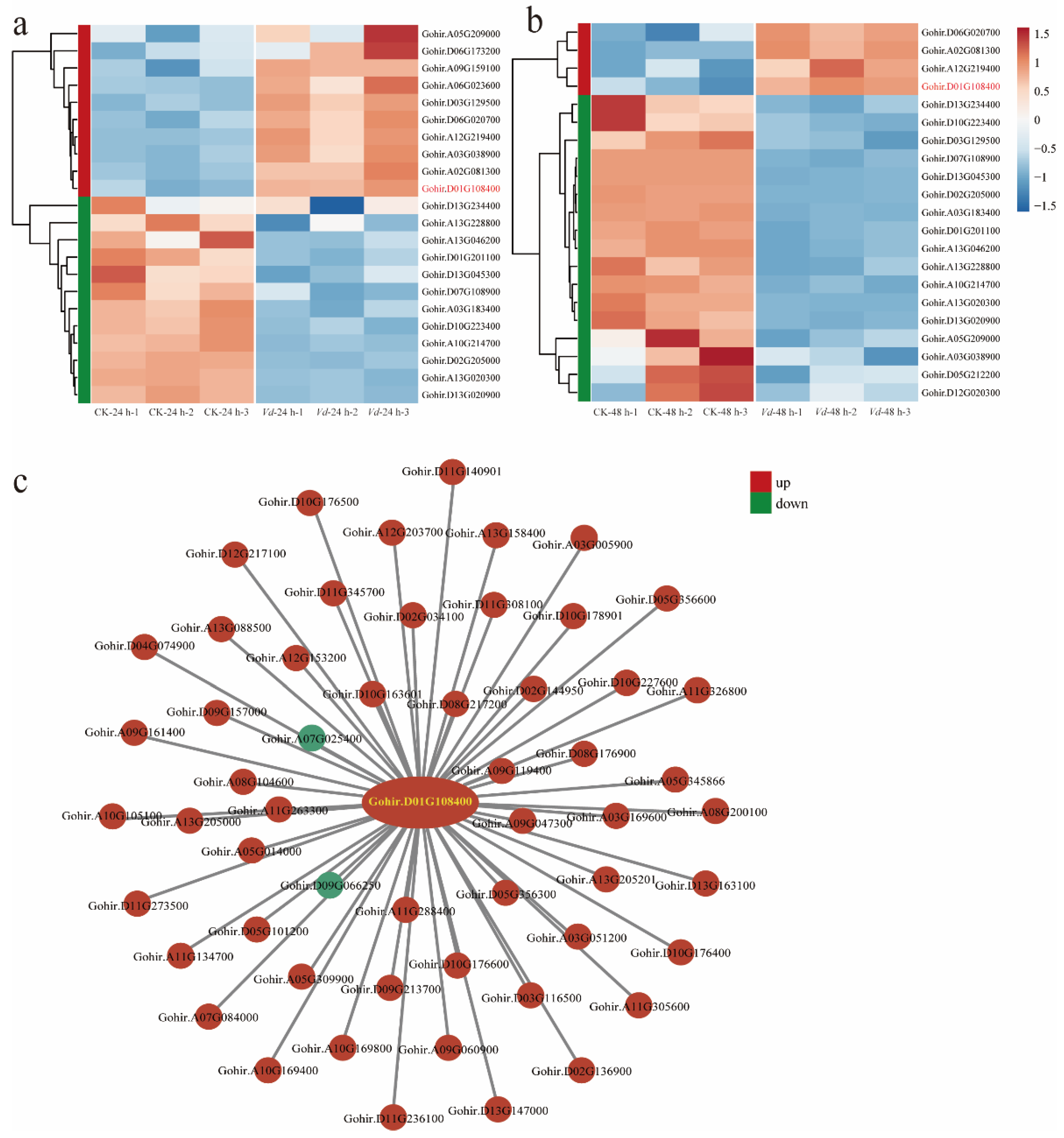 Plants 14 02638 g001