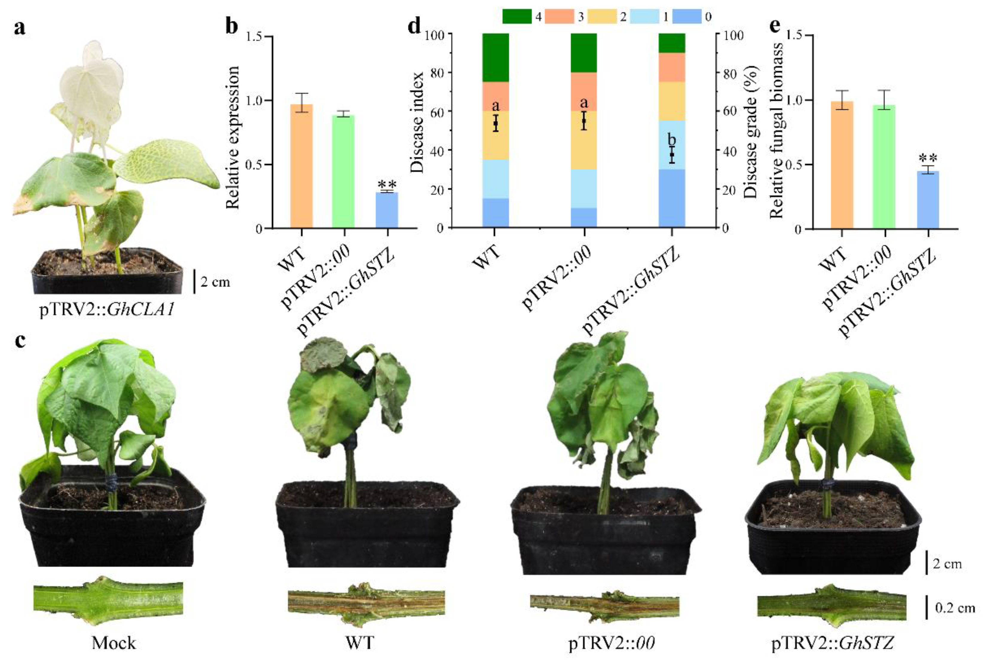 Plants 14 02638 g003