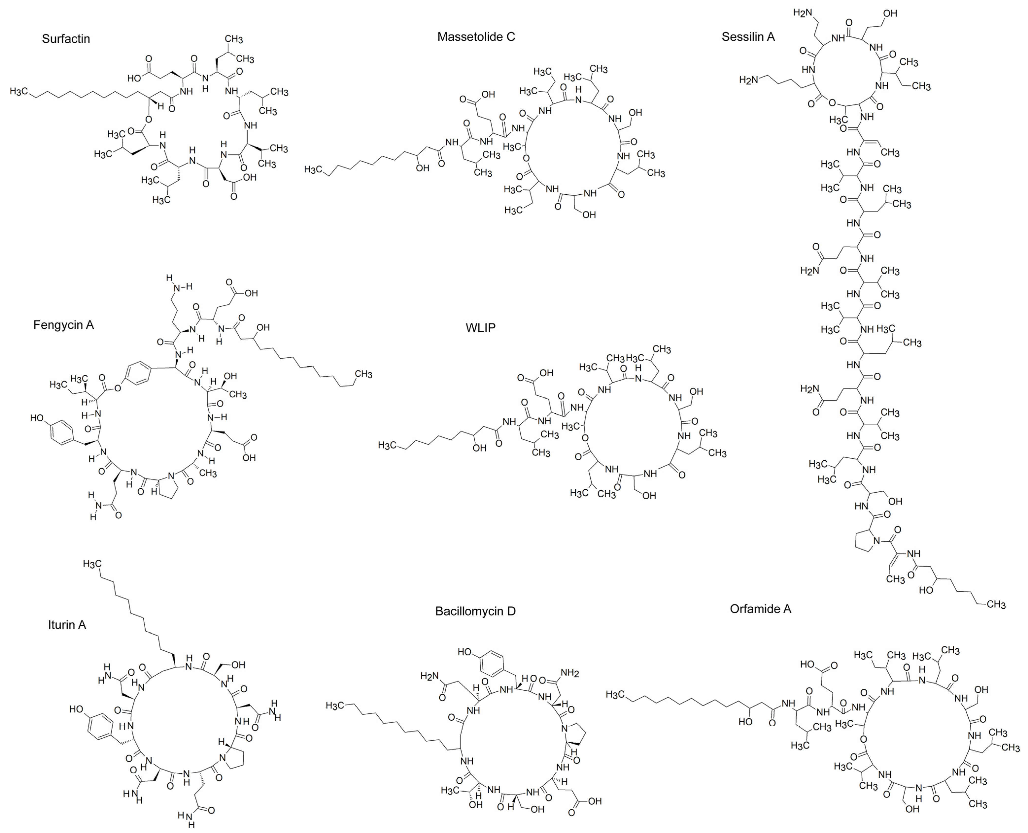 Plants 14 02644 g002