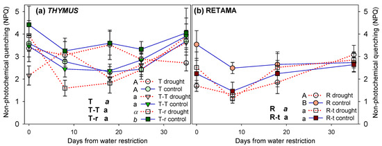 Plants 14 02663 g0a2