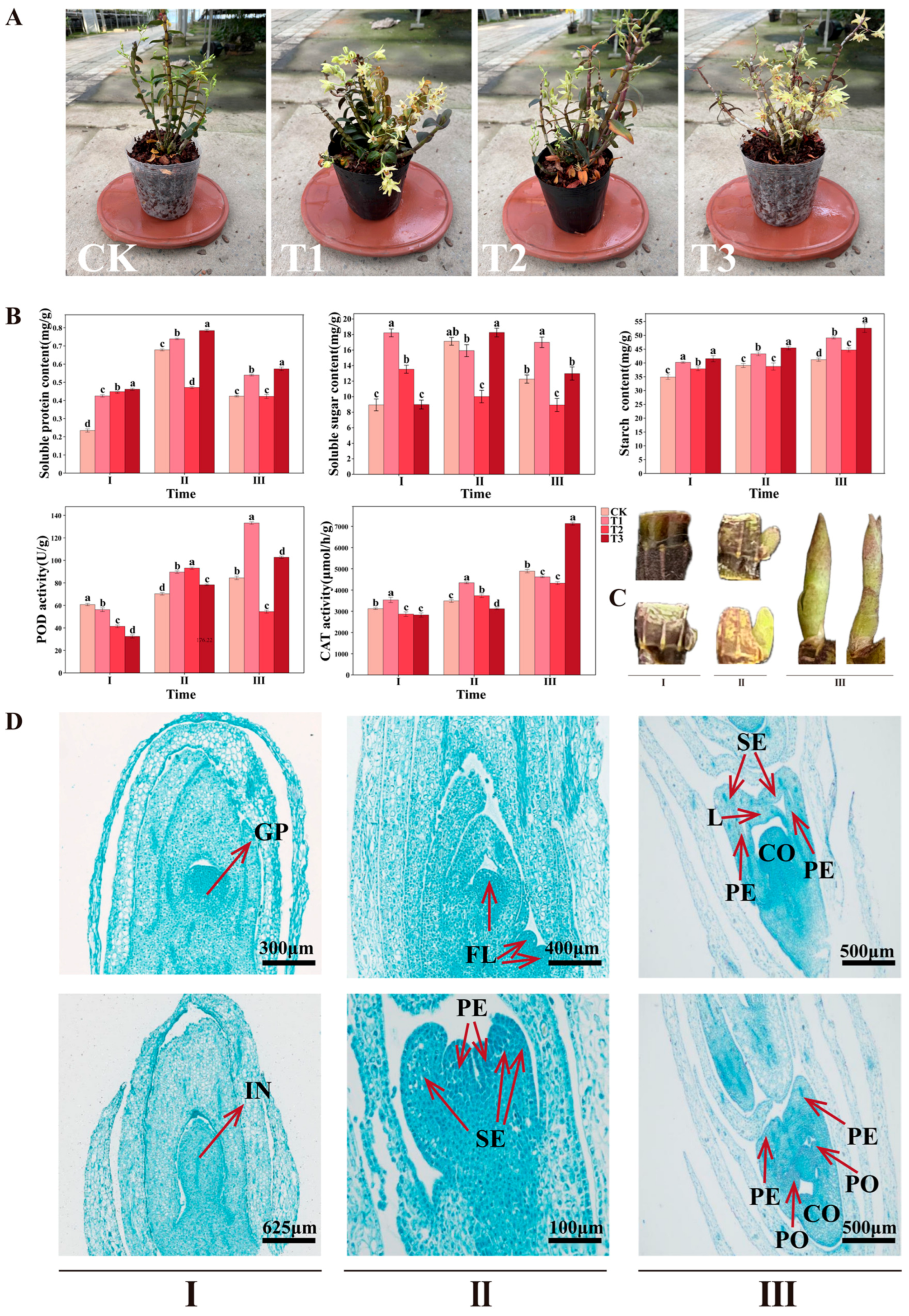 Plants 14 02668 g001