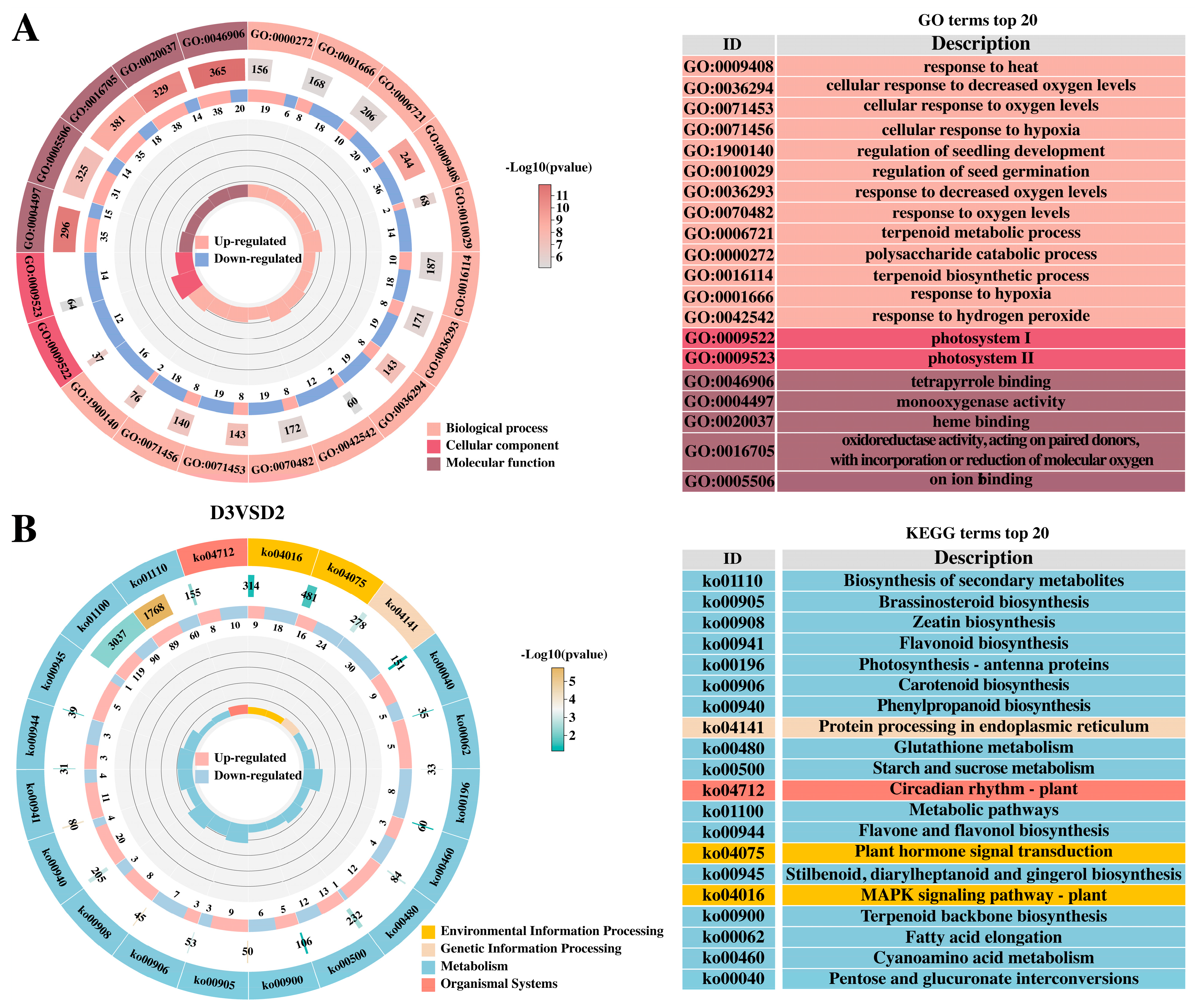Plants 14 02668 g003